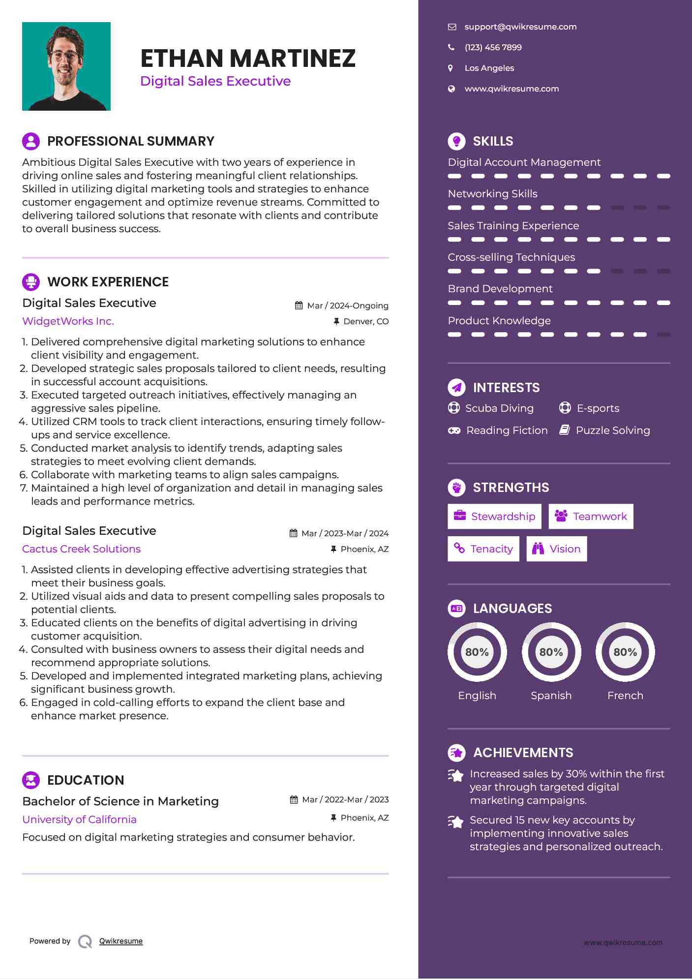 Digital Sales Executive Resume Sample