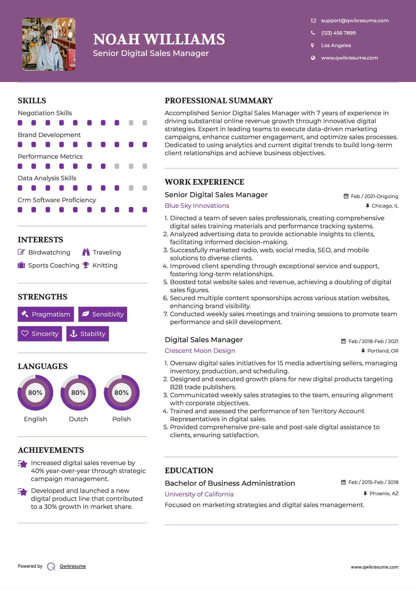 Senior Digital Sales Manager Resume Format