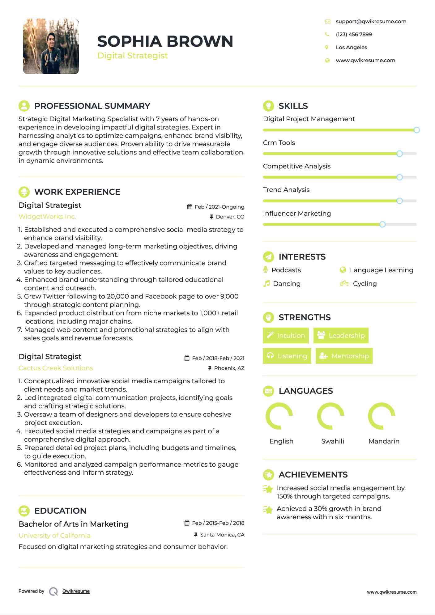 Digital Strategist Resume Example