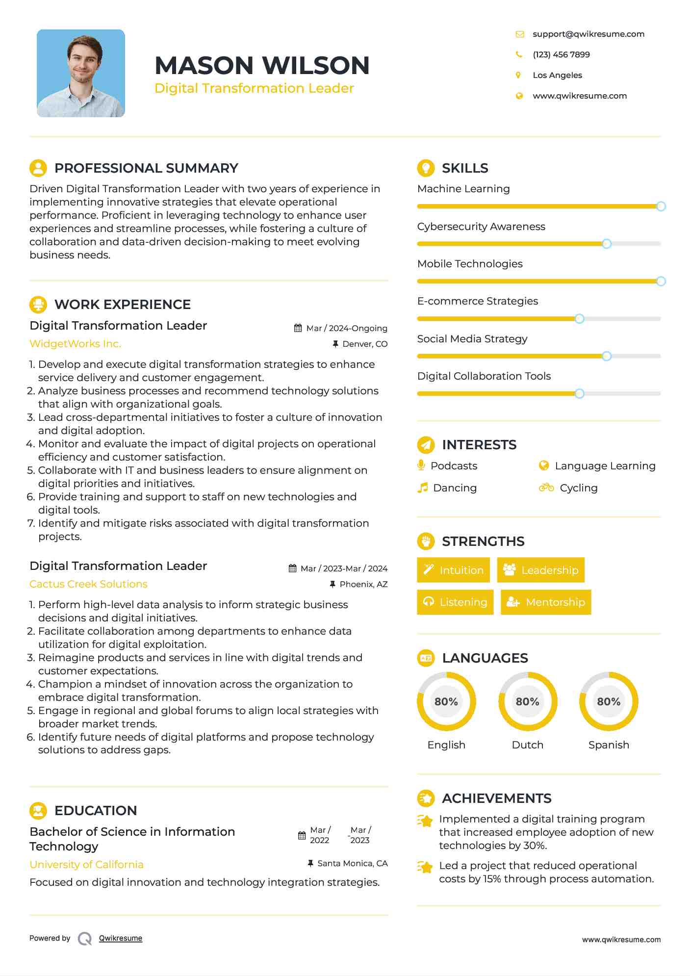Digital Transformation Leader Resume Model