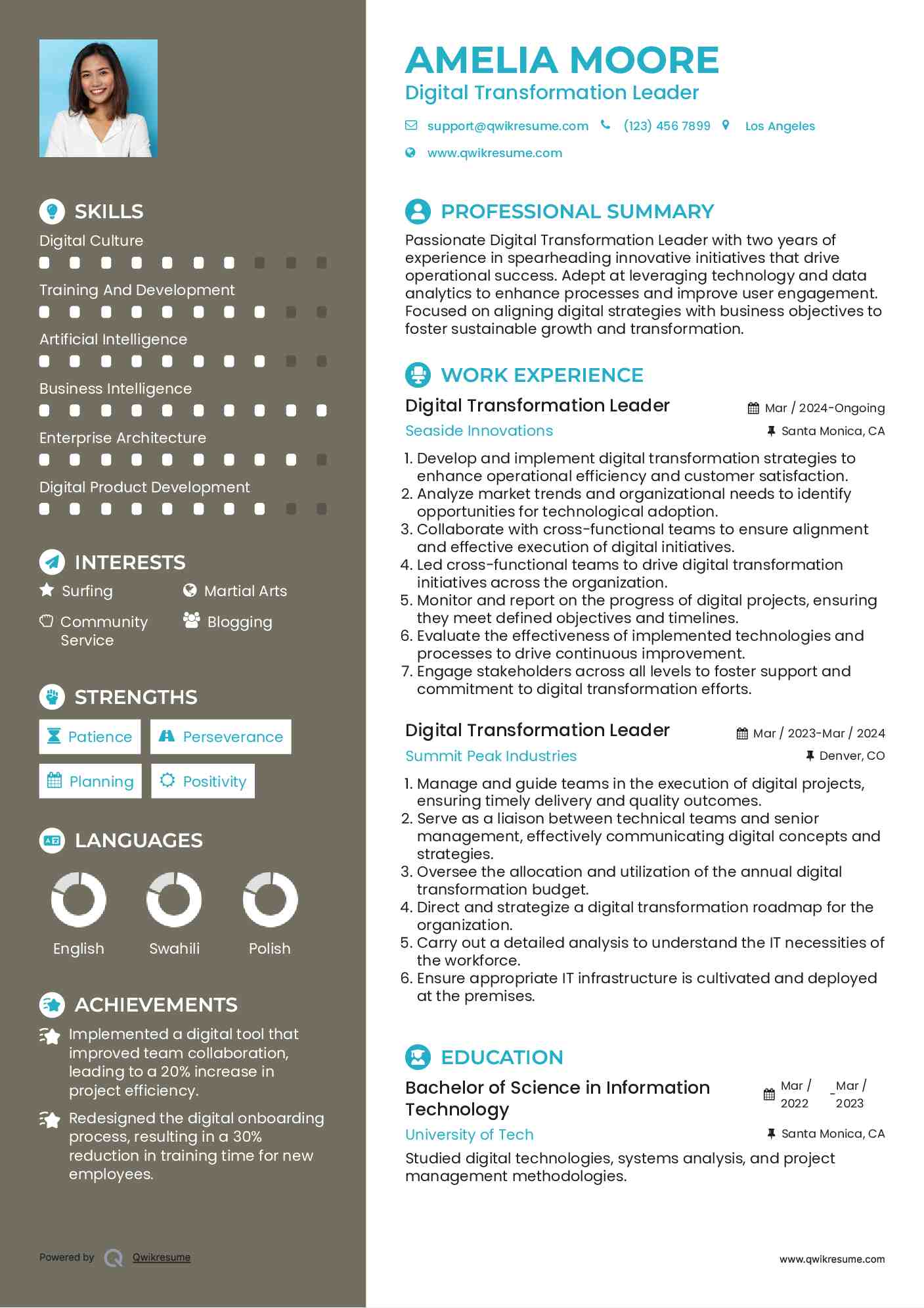 Digital Transformation Leader Resume Model