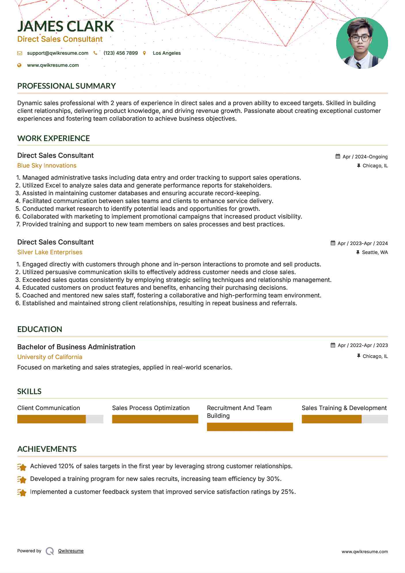 Direct Sales Consultant Resume Example