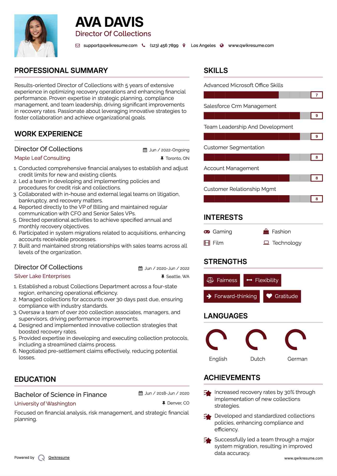 Director Of Collections Resume Example