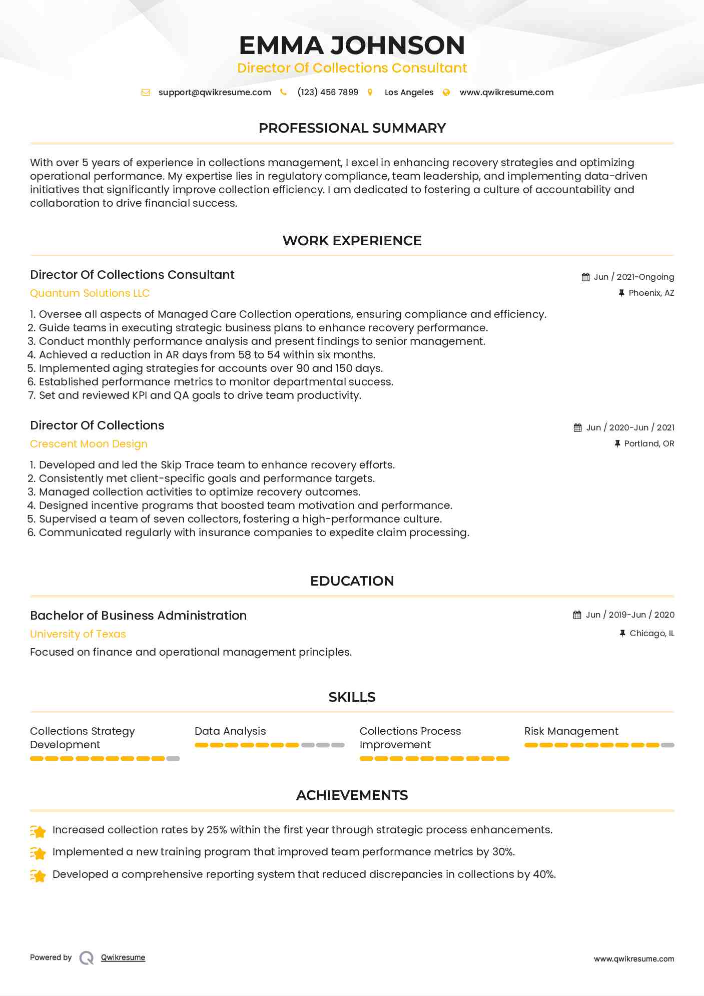 Director Of Collections Consultant Resume Model