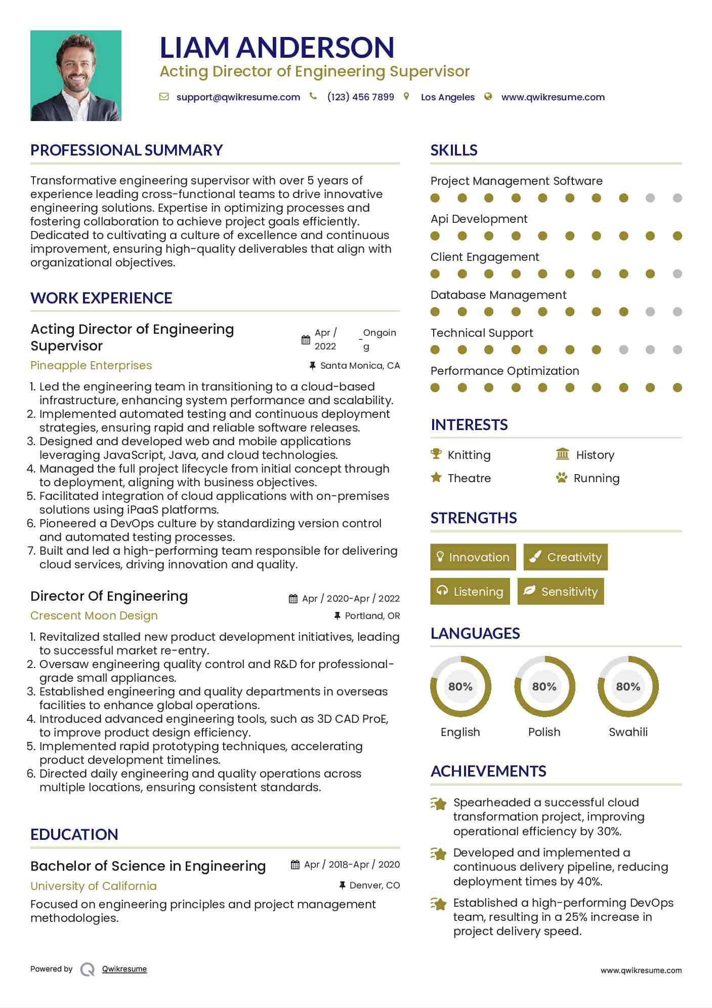 Acting Director of Engineering Supervisor Resume Template