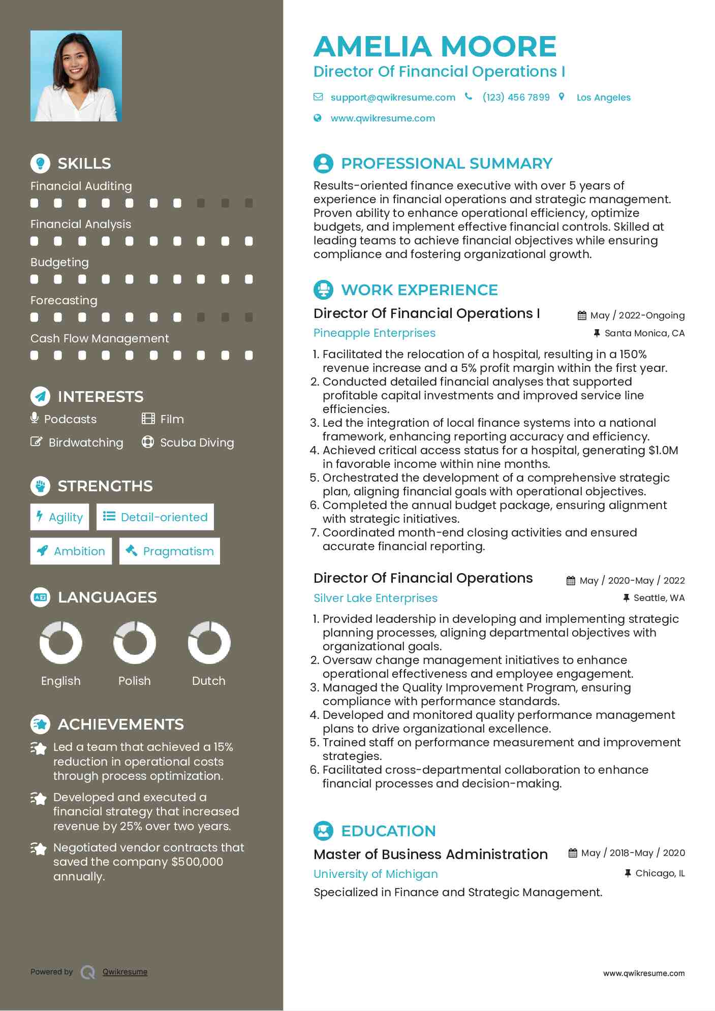 Director Of Financial Operations I Resume Model
