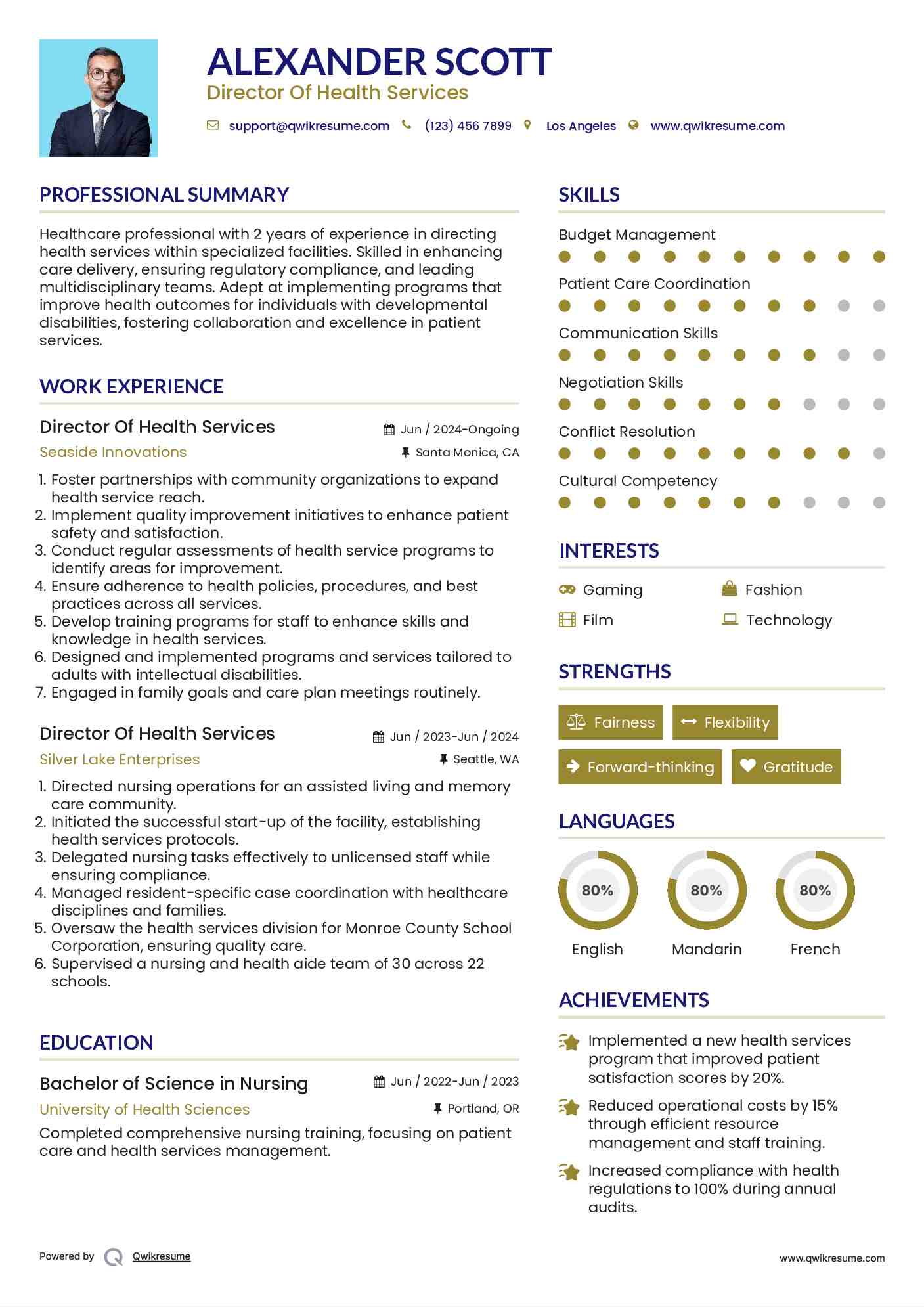 Director Of Health Services Resume Sample