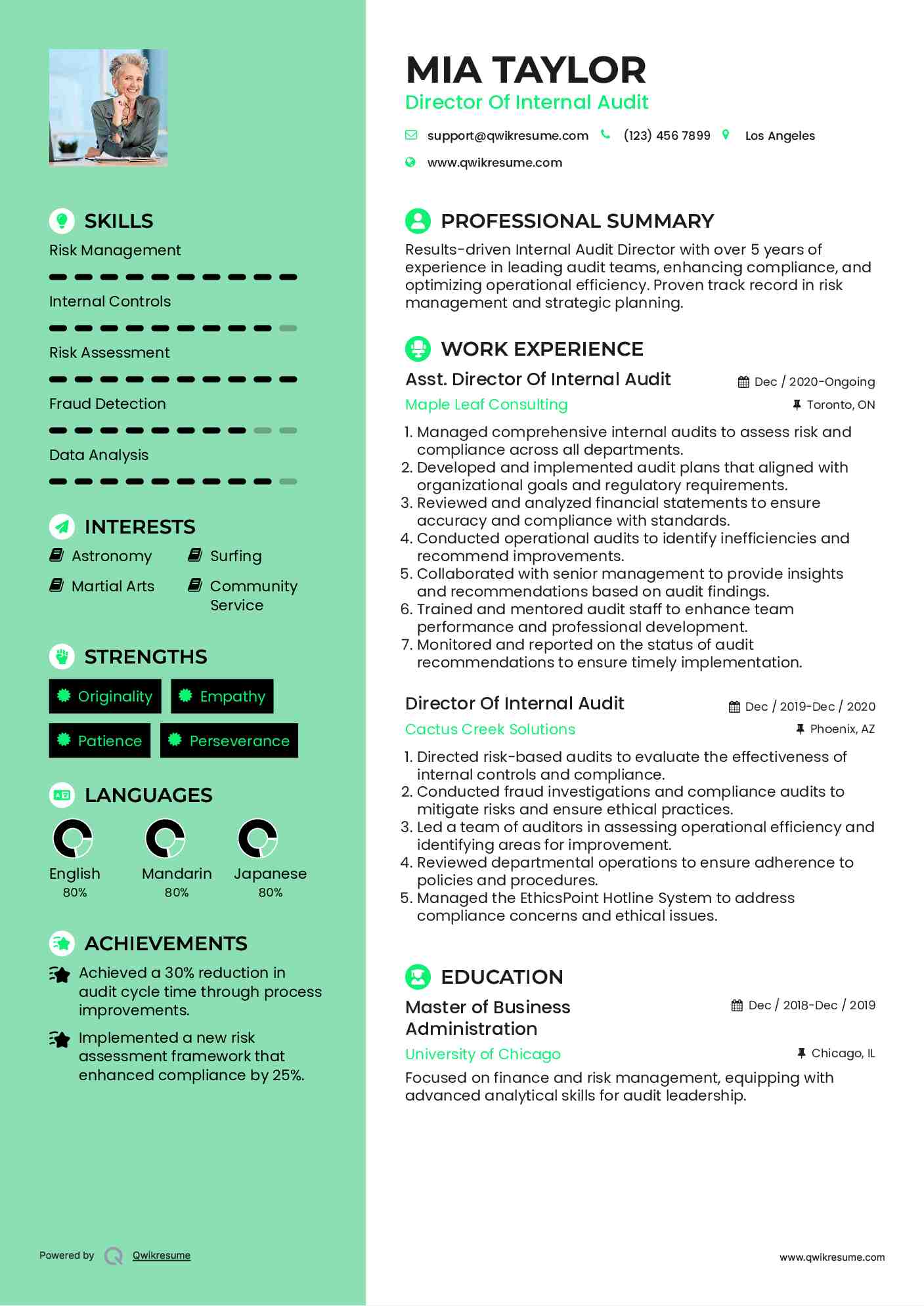 Asst. Director Of Internal Audit Resume Example
