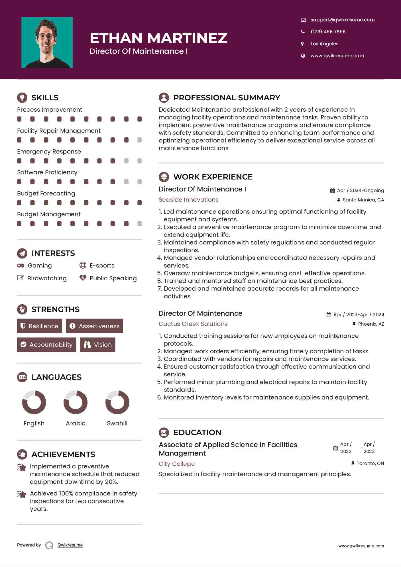 Director Of Maintenance I Resume Template