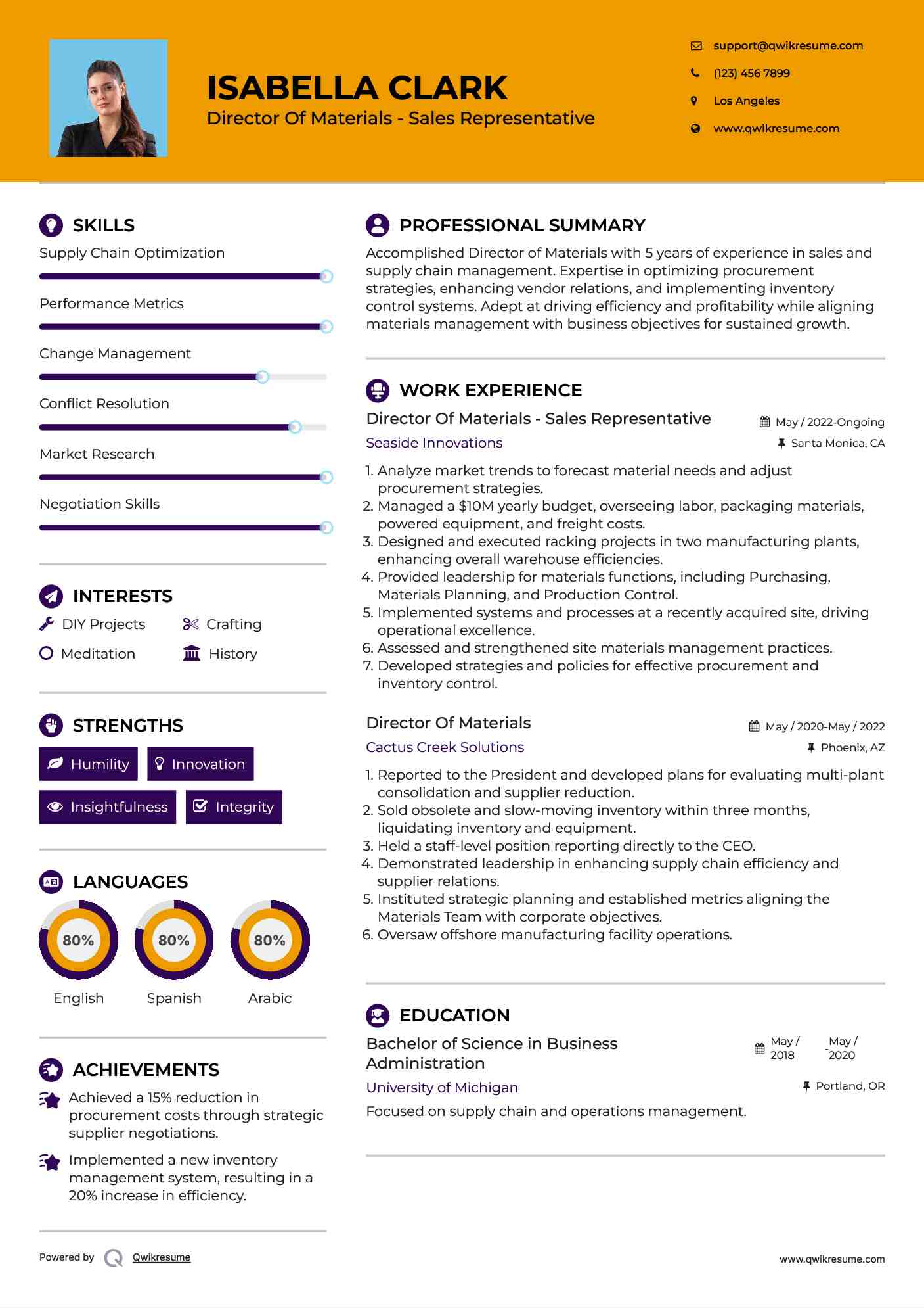 Director Of Materials - Sales Representative Resume Sample