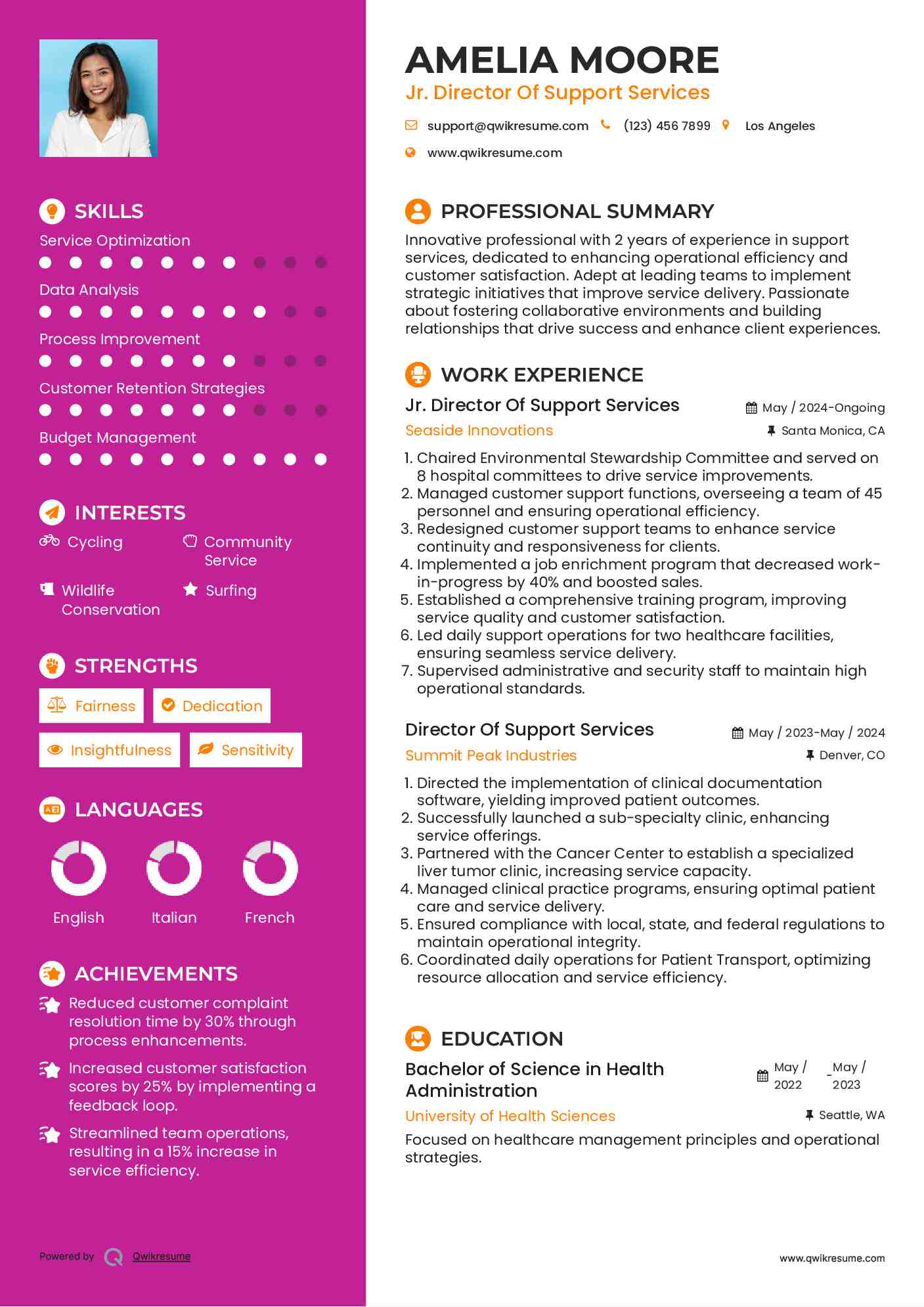 Jr. Director Of Support Services Resume Format