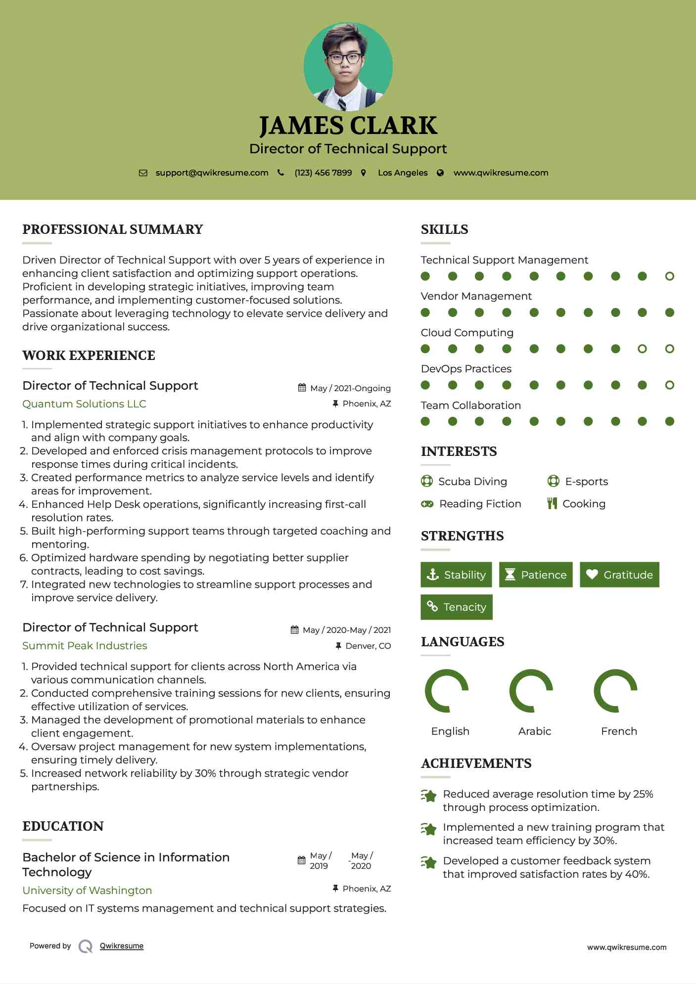 Director of Technical Support Resume Model