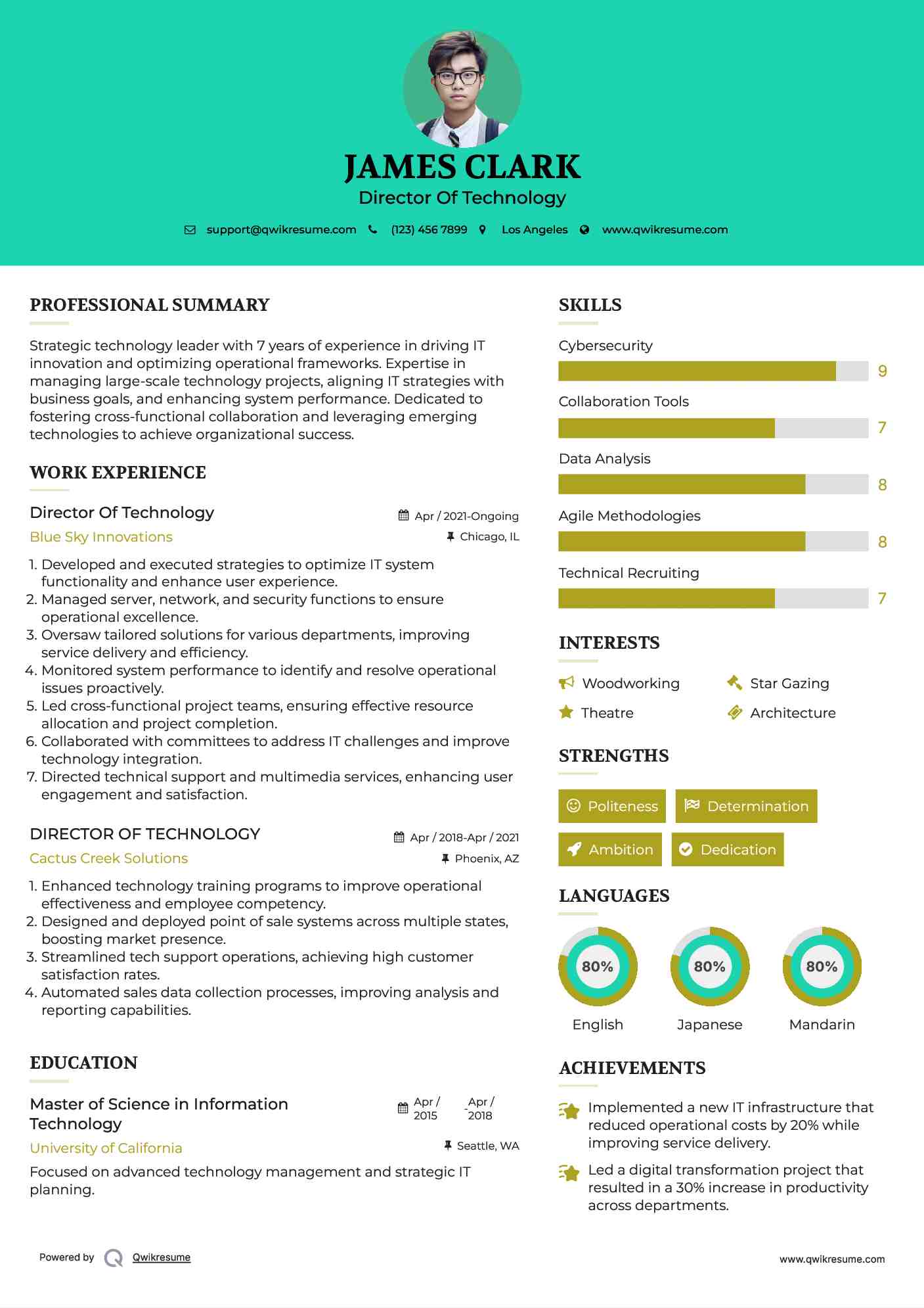 Director Of Technology Resume Sample