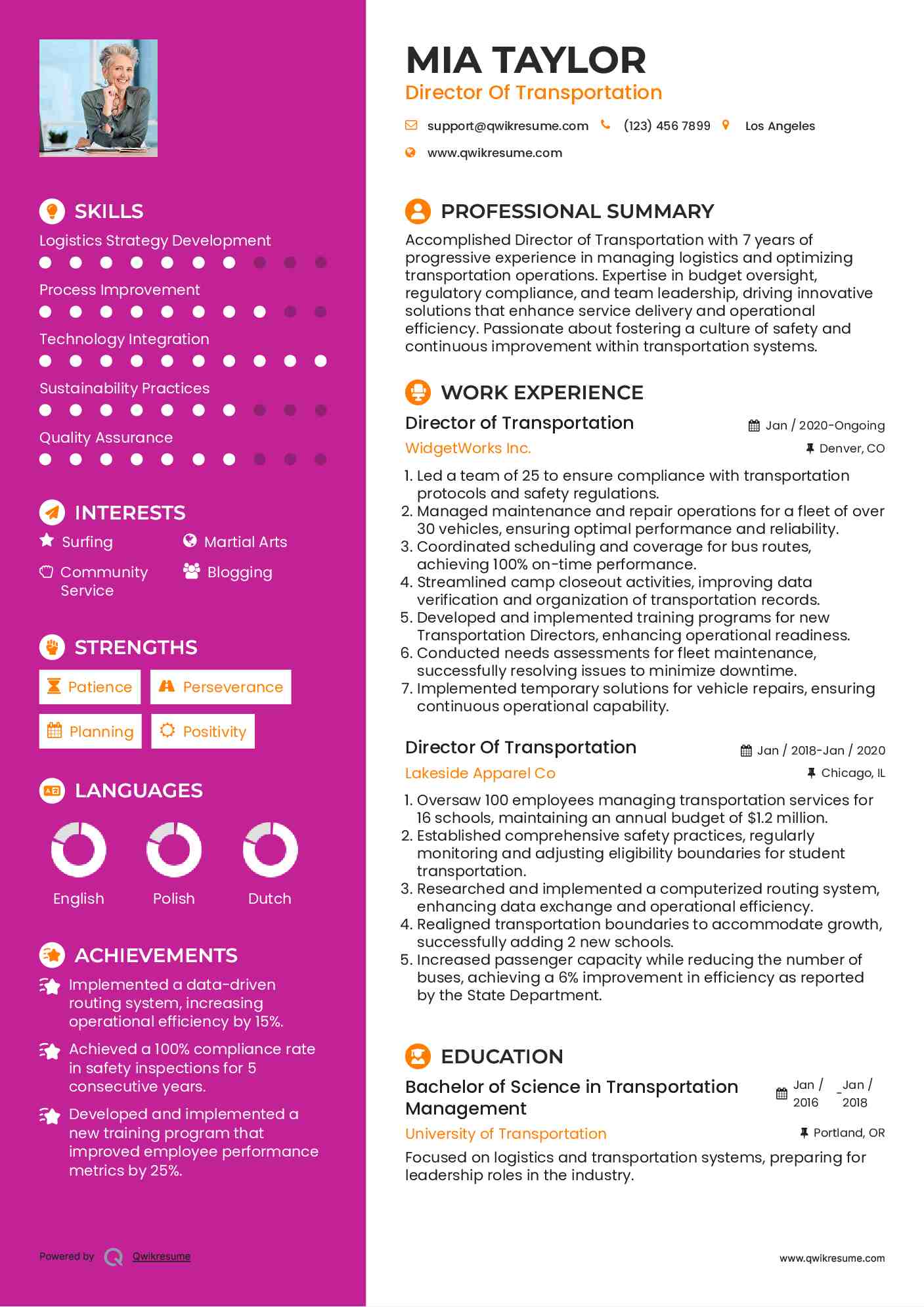 Director of Transportation Resume Model