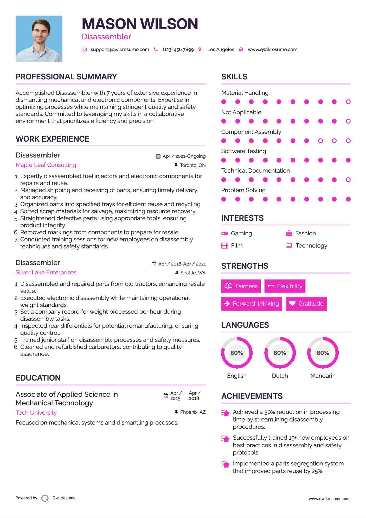 Disassembler Resume Sample