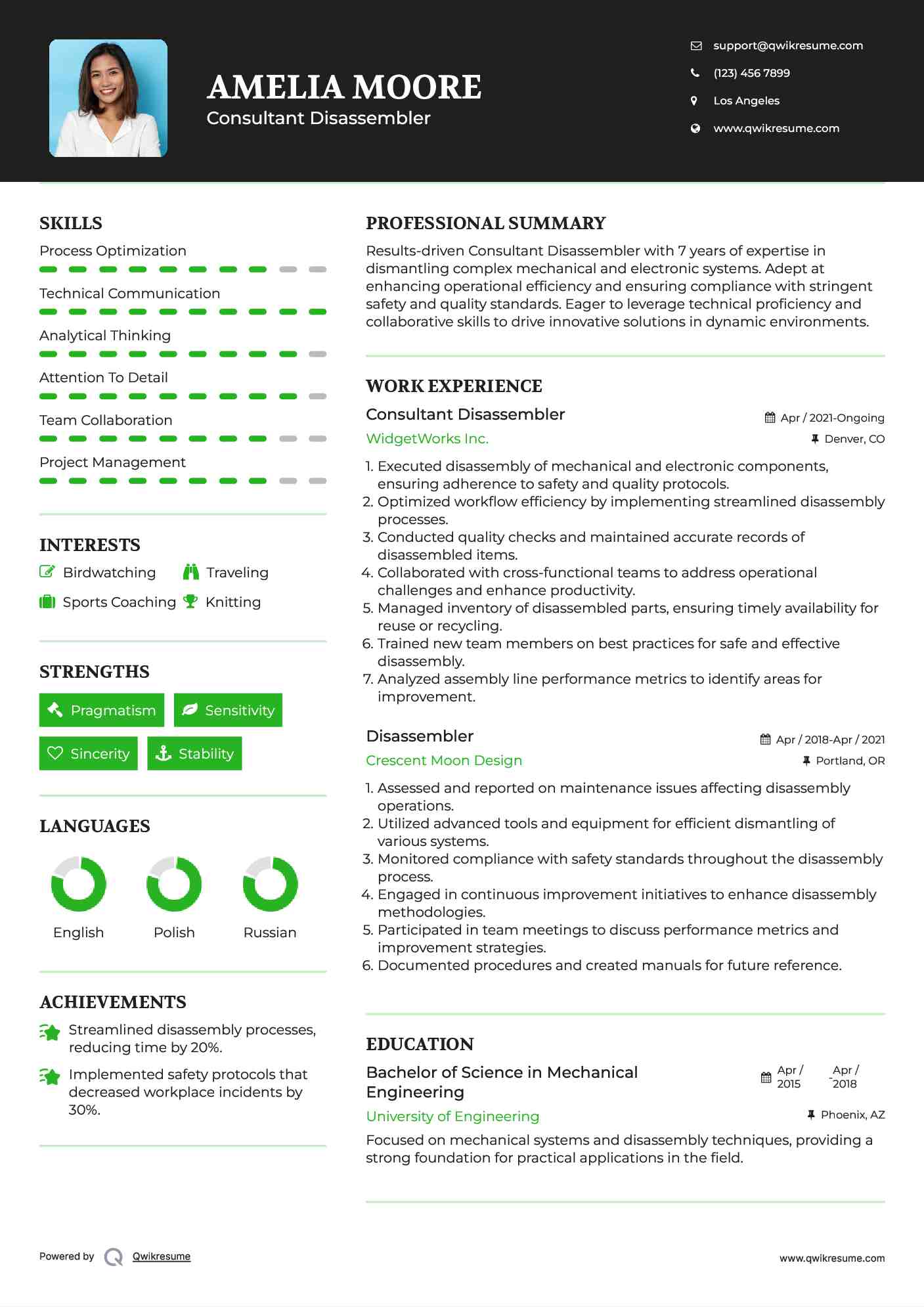 Consultant Disassembler Resume Model