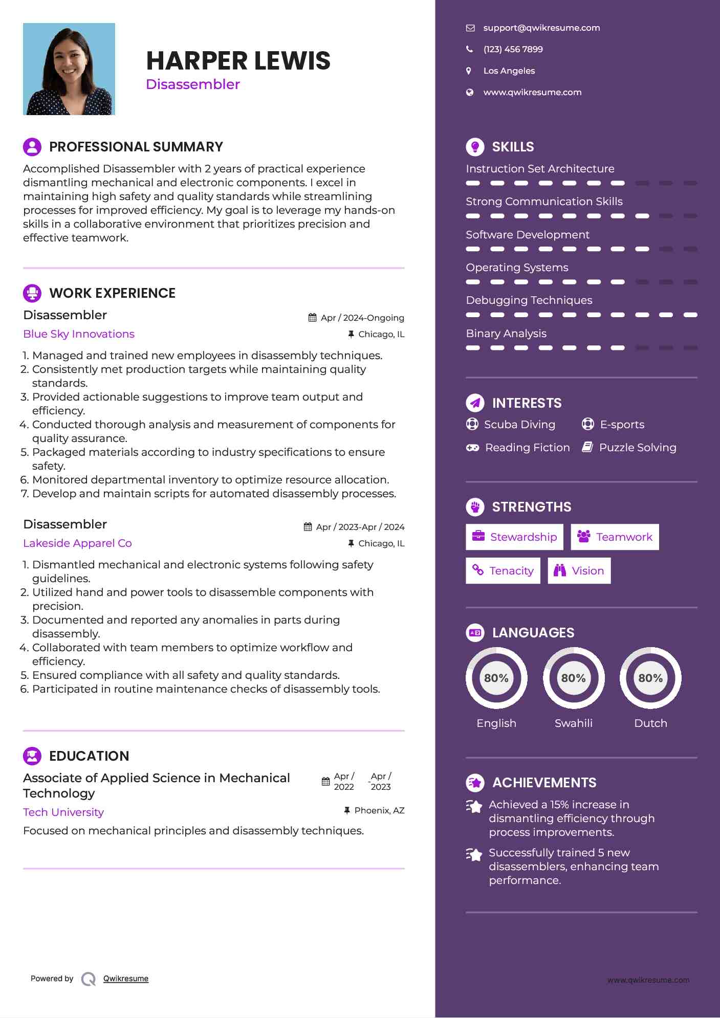 Disassembler Resume Example