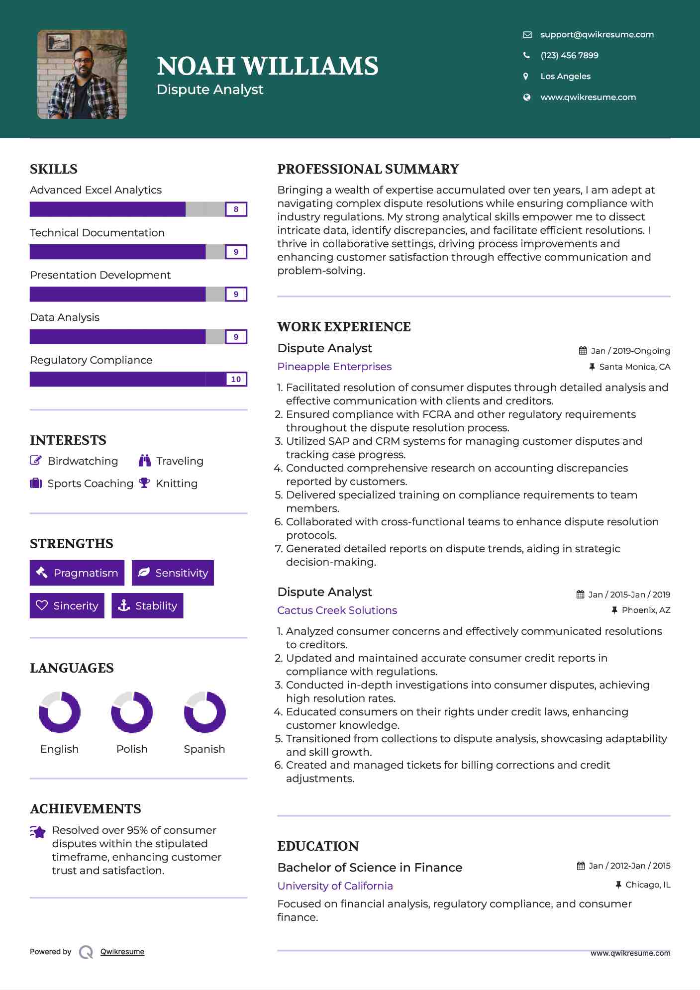 Dispute Analyst Resume Example