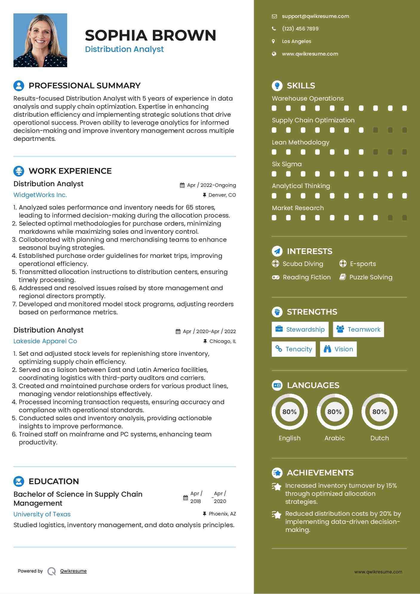 Distribution Analyst Resume Model