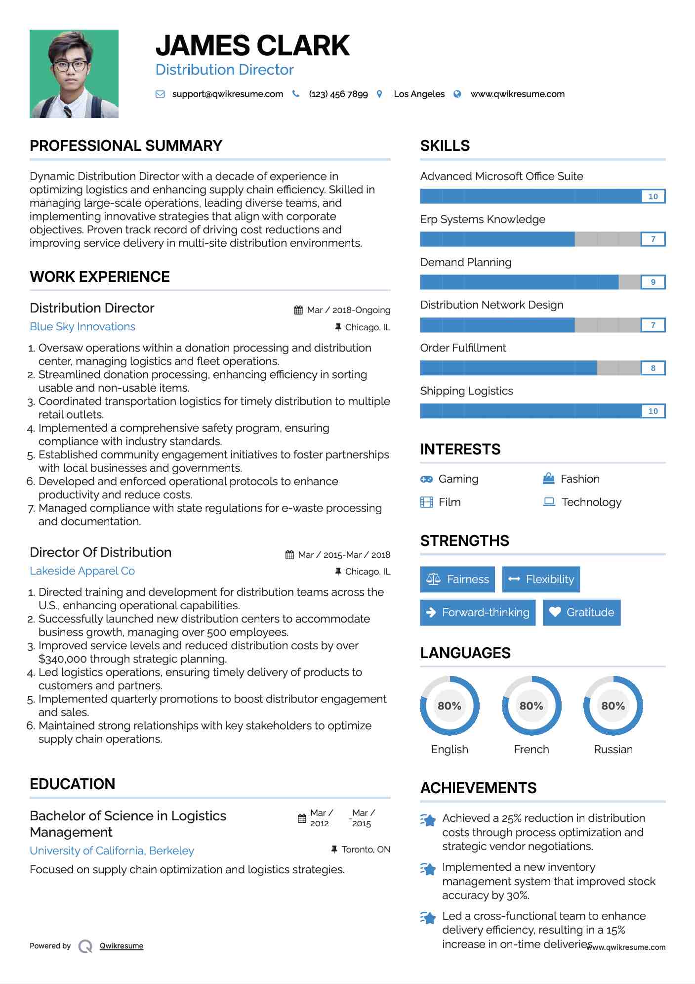 Distribution Director Resume Format