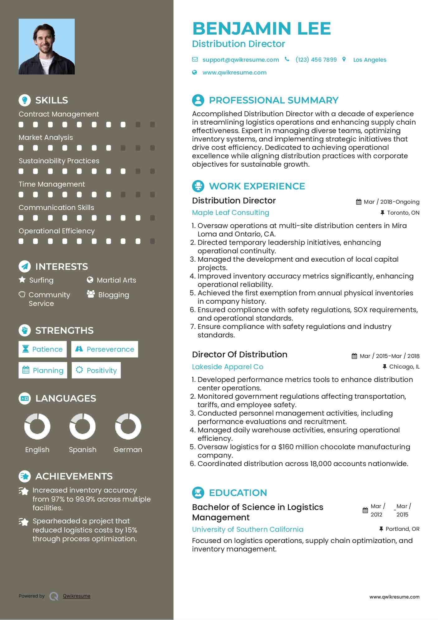 Distribution Director Resume Format