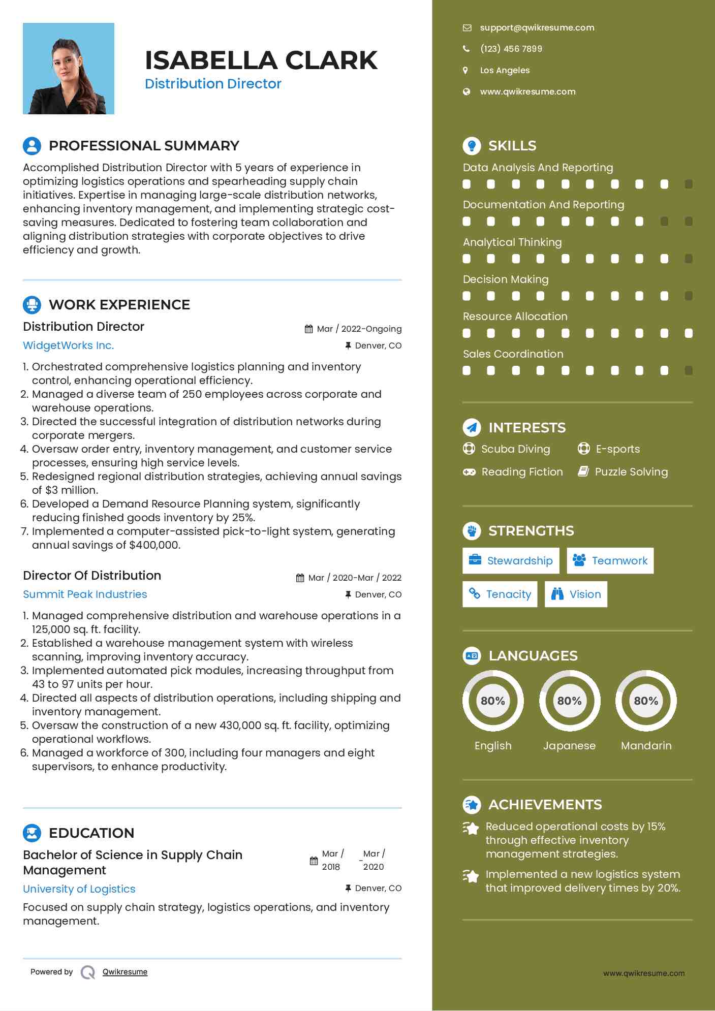 Distribution Director Resume Template