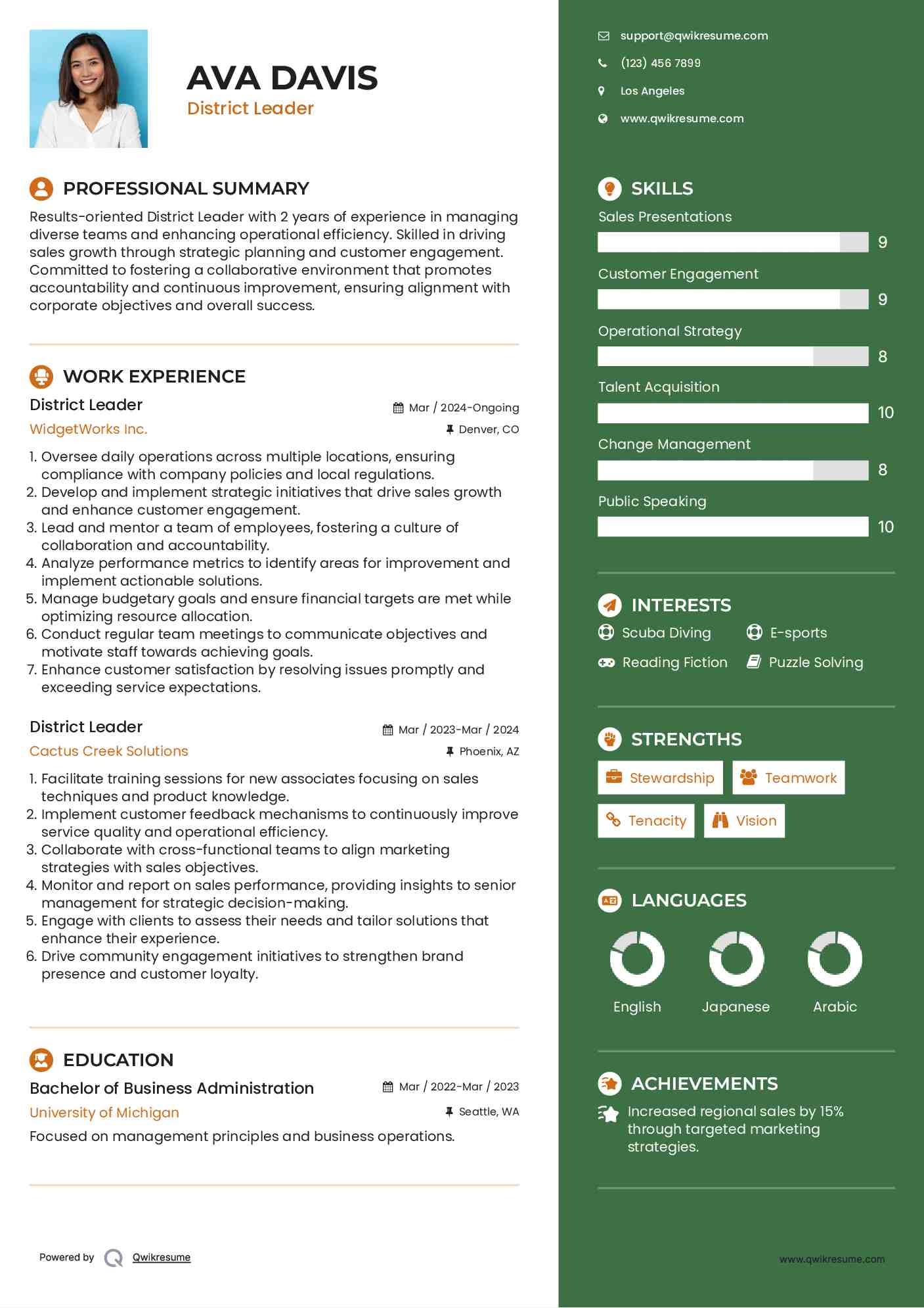 District Leader Resume Example