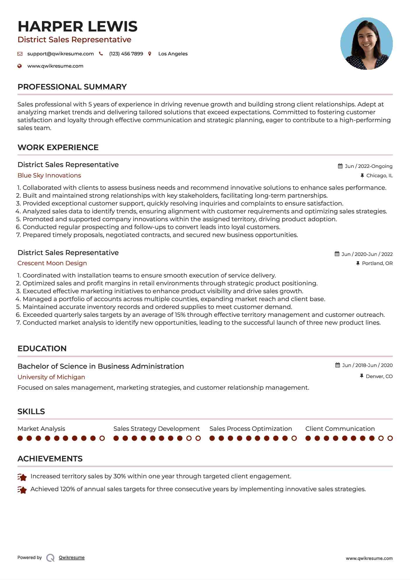 District Sales Representative  Resume Example