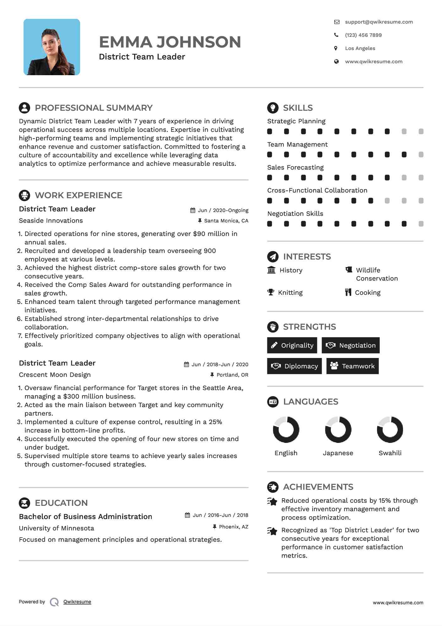 District Team Leader Resume Model