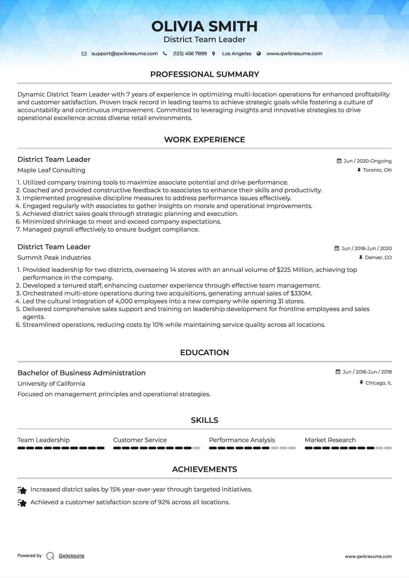 District Team Leader Resume Template
