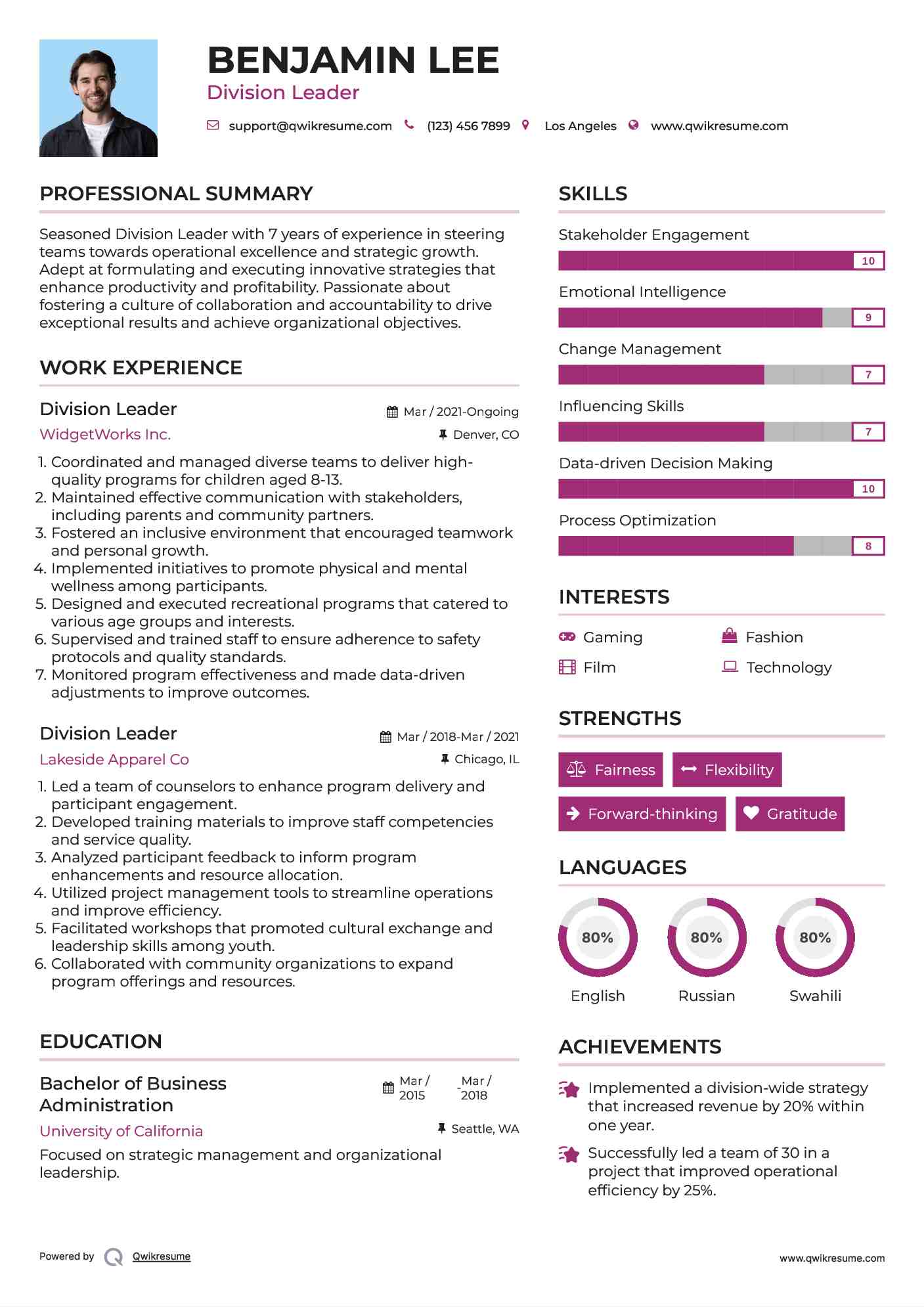 Division Leader Resume Example