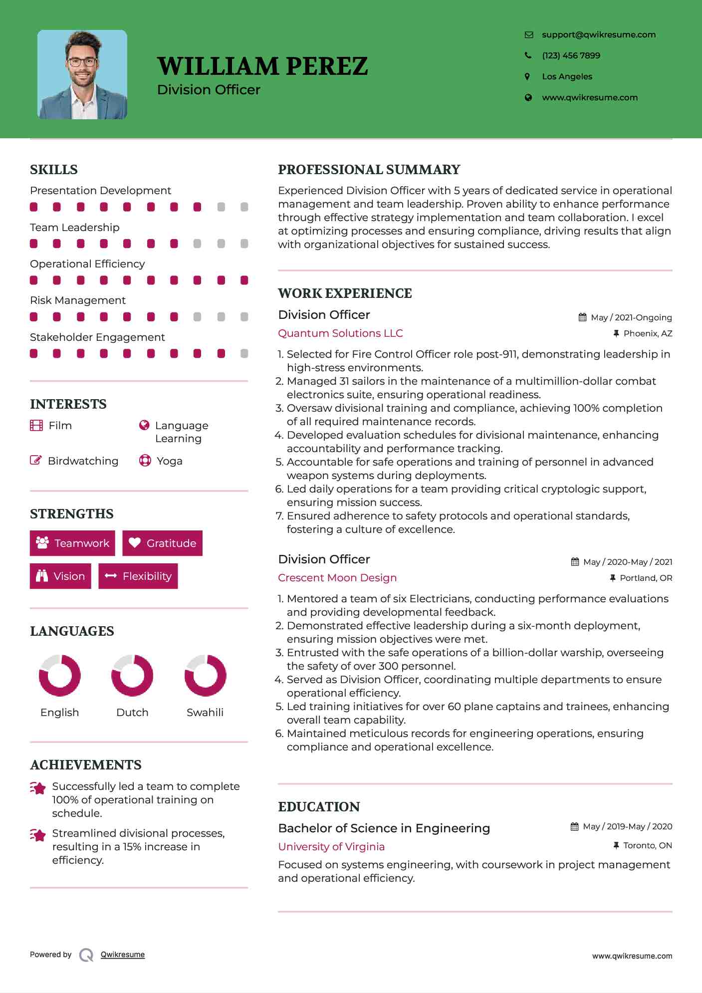 Division Officer Resume Sample