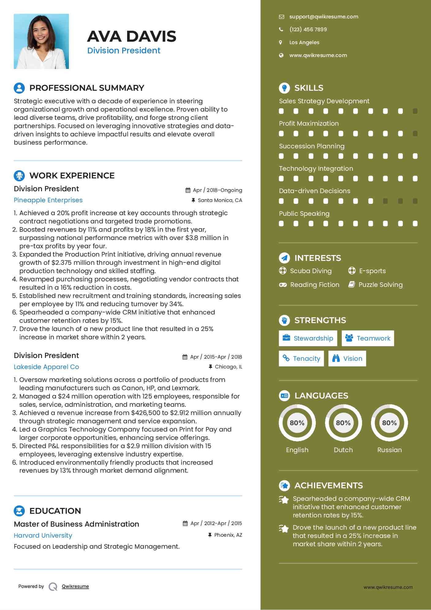 Division President Resume Template