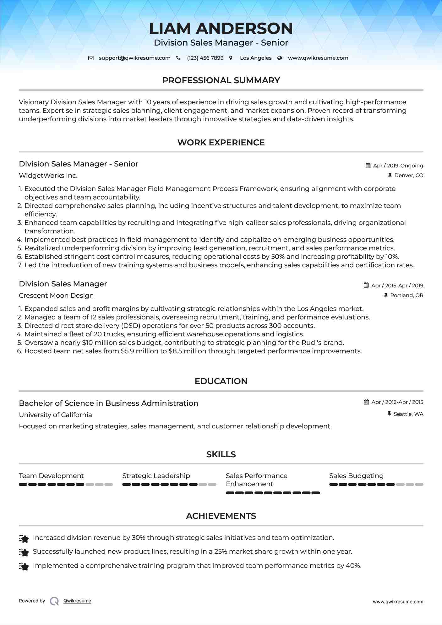 Division Sales Manager - Senior Resume Model