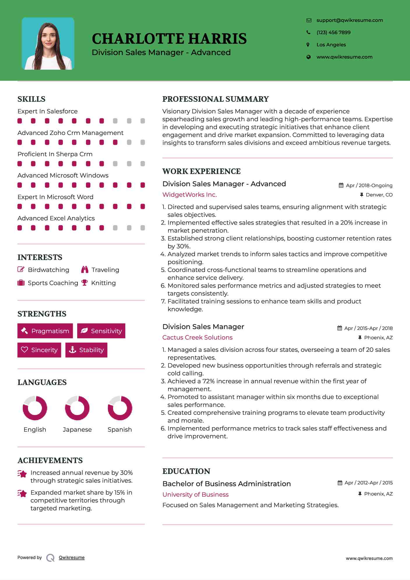 Division Sales Manager - Advanced Resume Template
