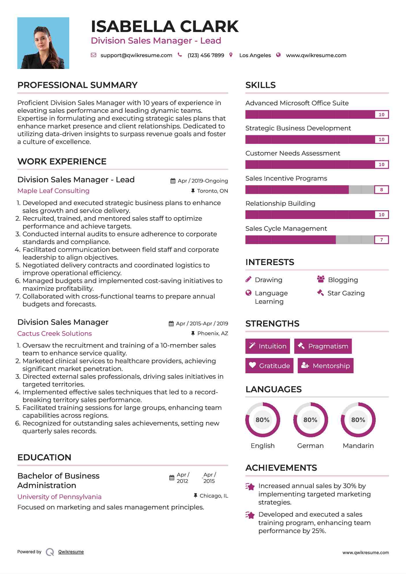 Division Sales Manager - Lead Resume Sample