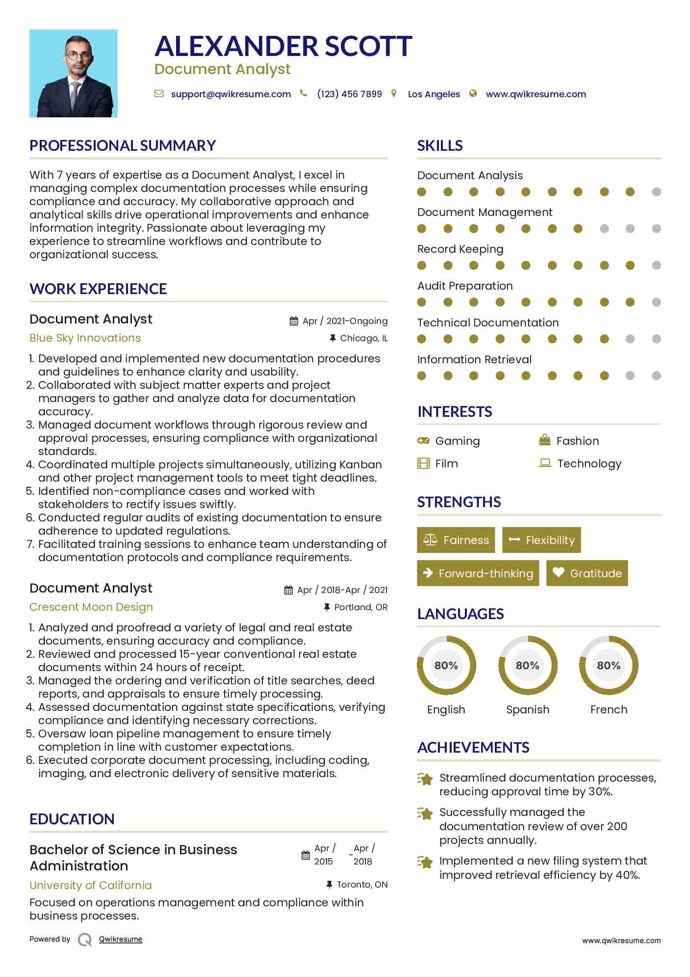 Document Analyst Resume Format