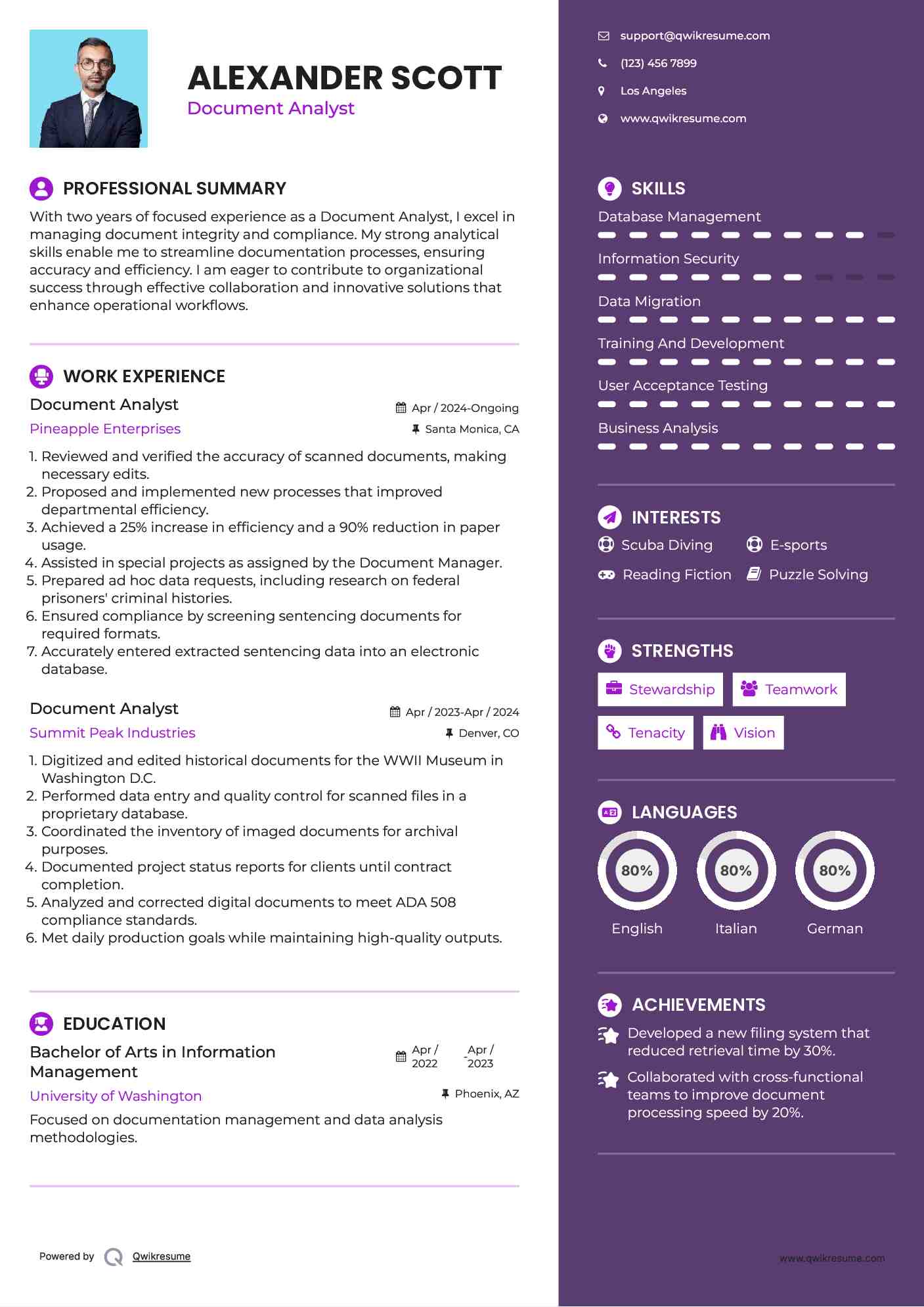 Document Analyst Resume Example