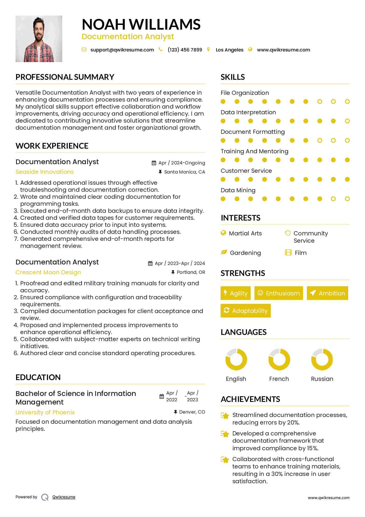 Documentation Analyst Resume Format