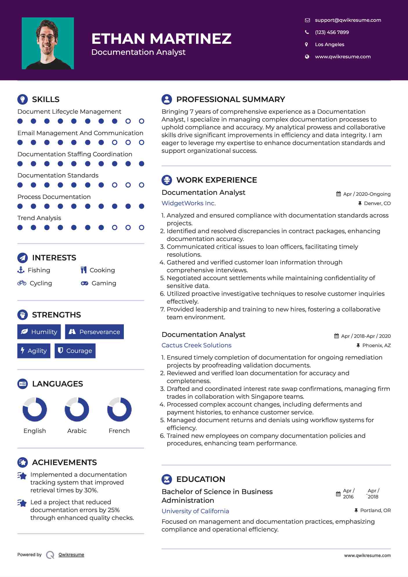 Documentation Analyst Resume Sample