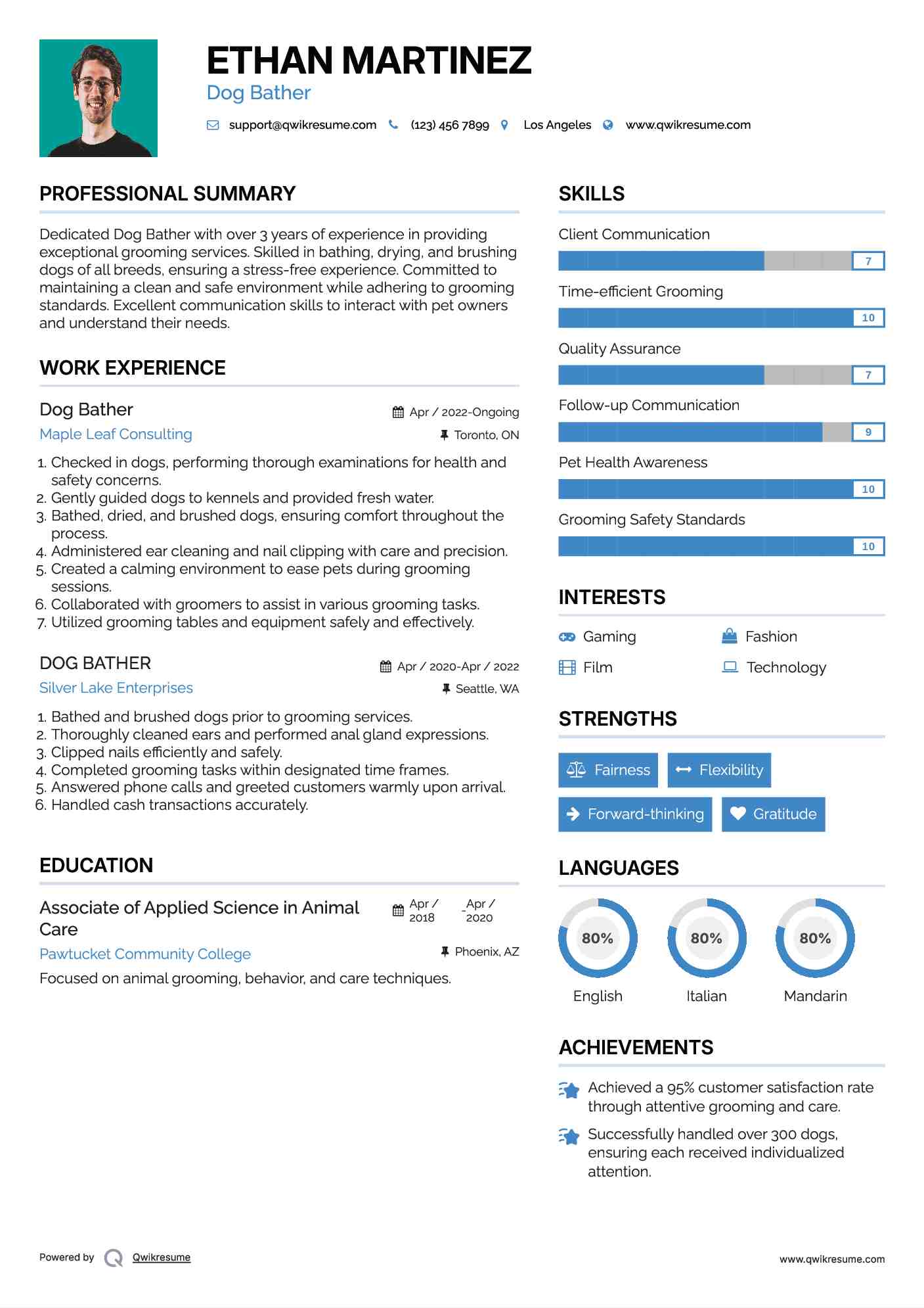 Dog Bather Resume Example