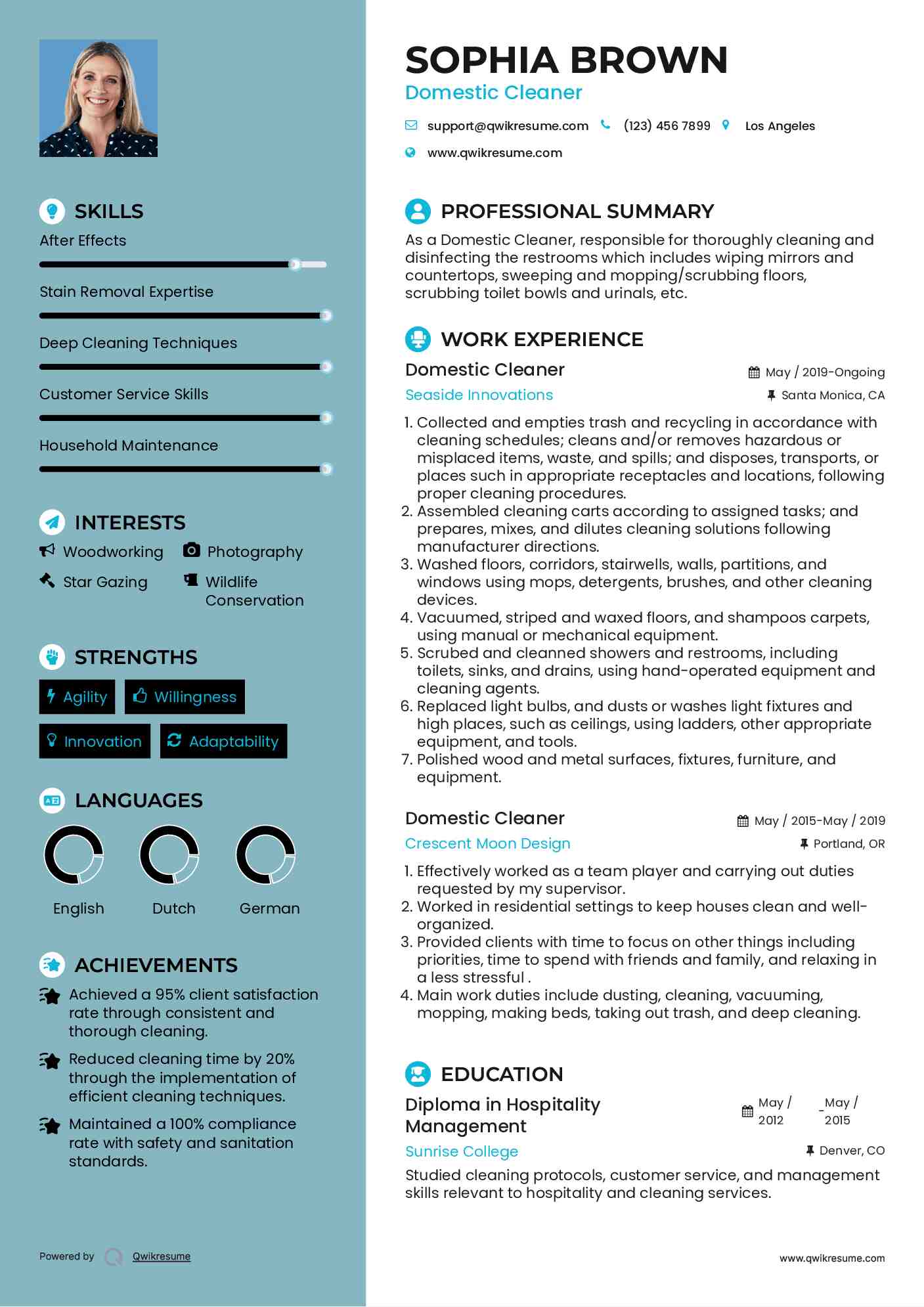 Domestic Cleaner Resume Sample