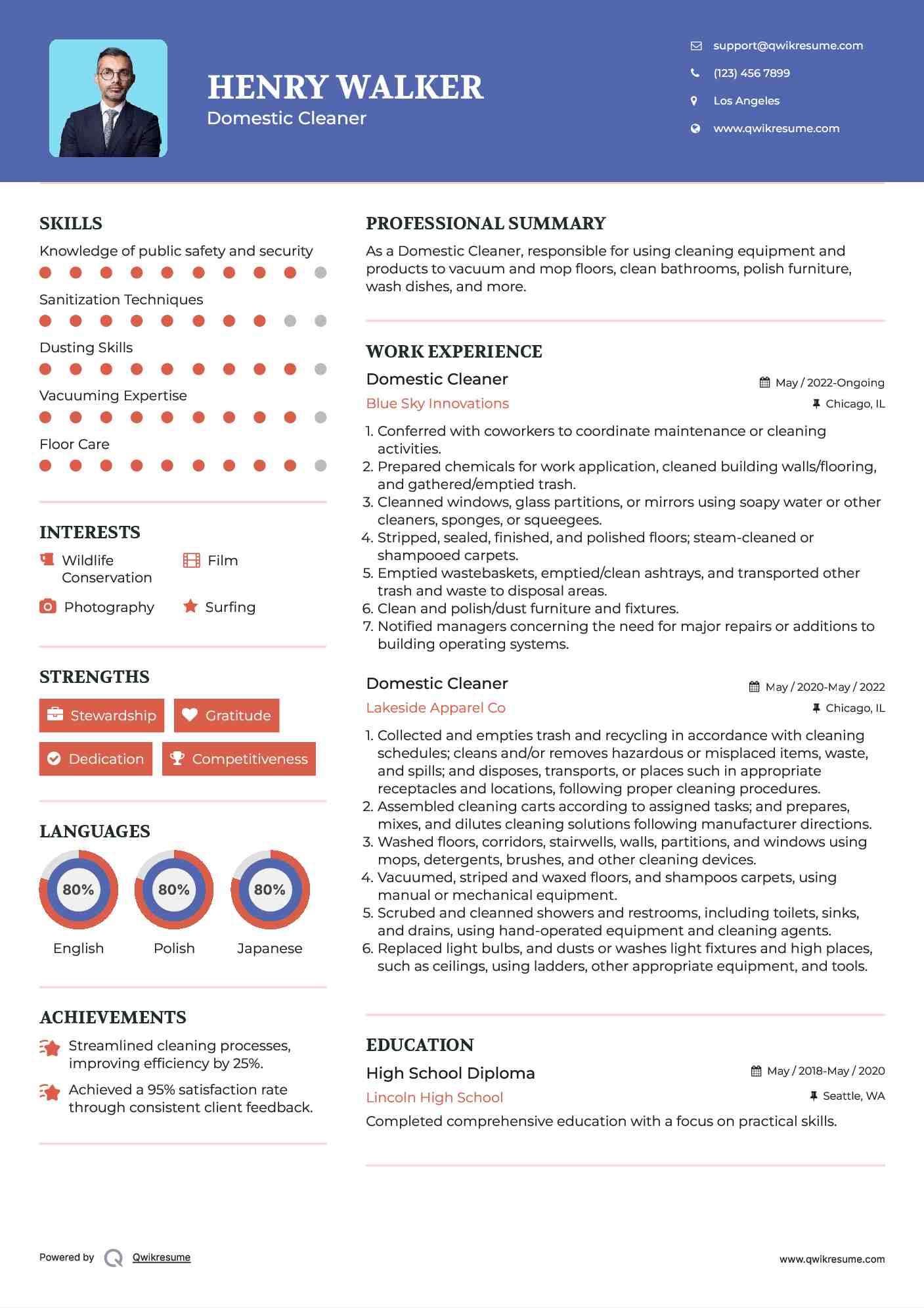 Domestic Cleaner Resume Template