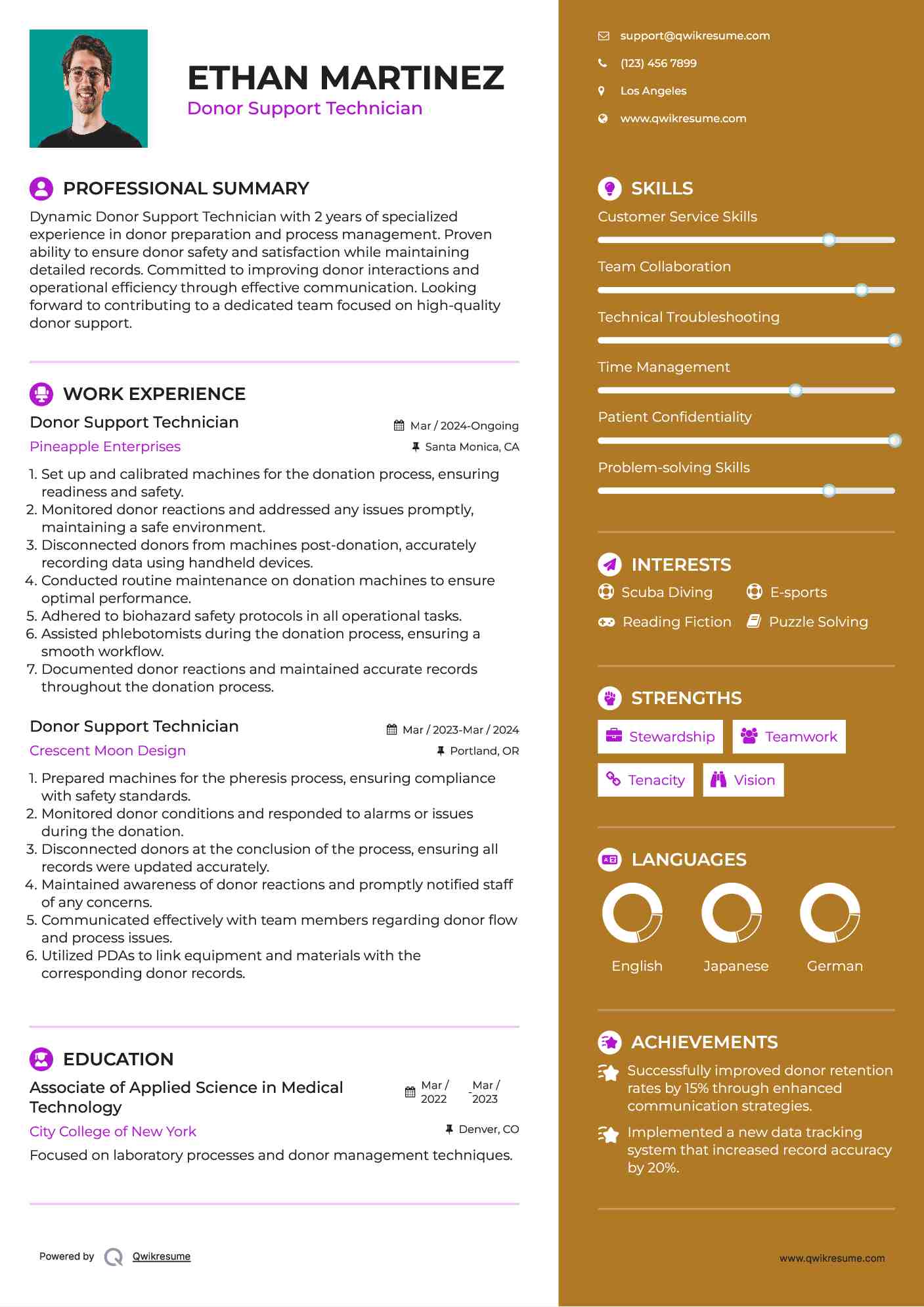 Donor Support Technician Resume Example