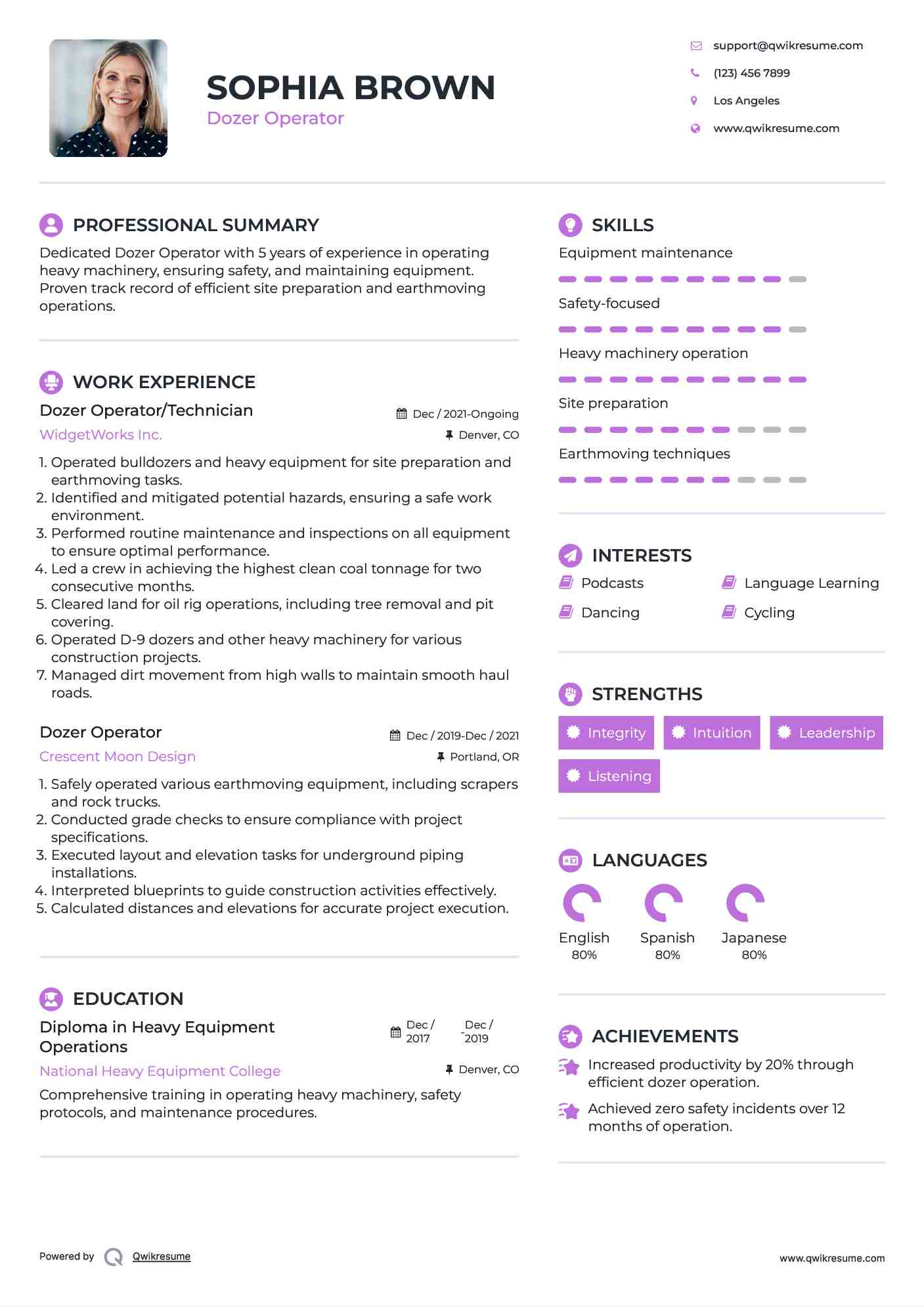 Dozer Operator/Technician Resume Template