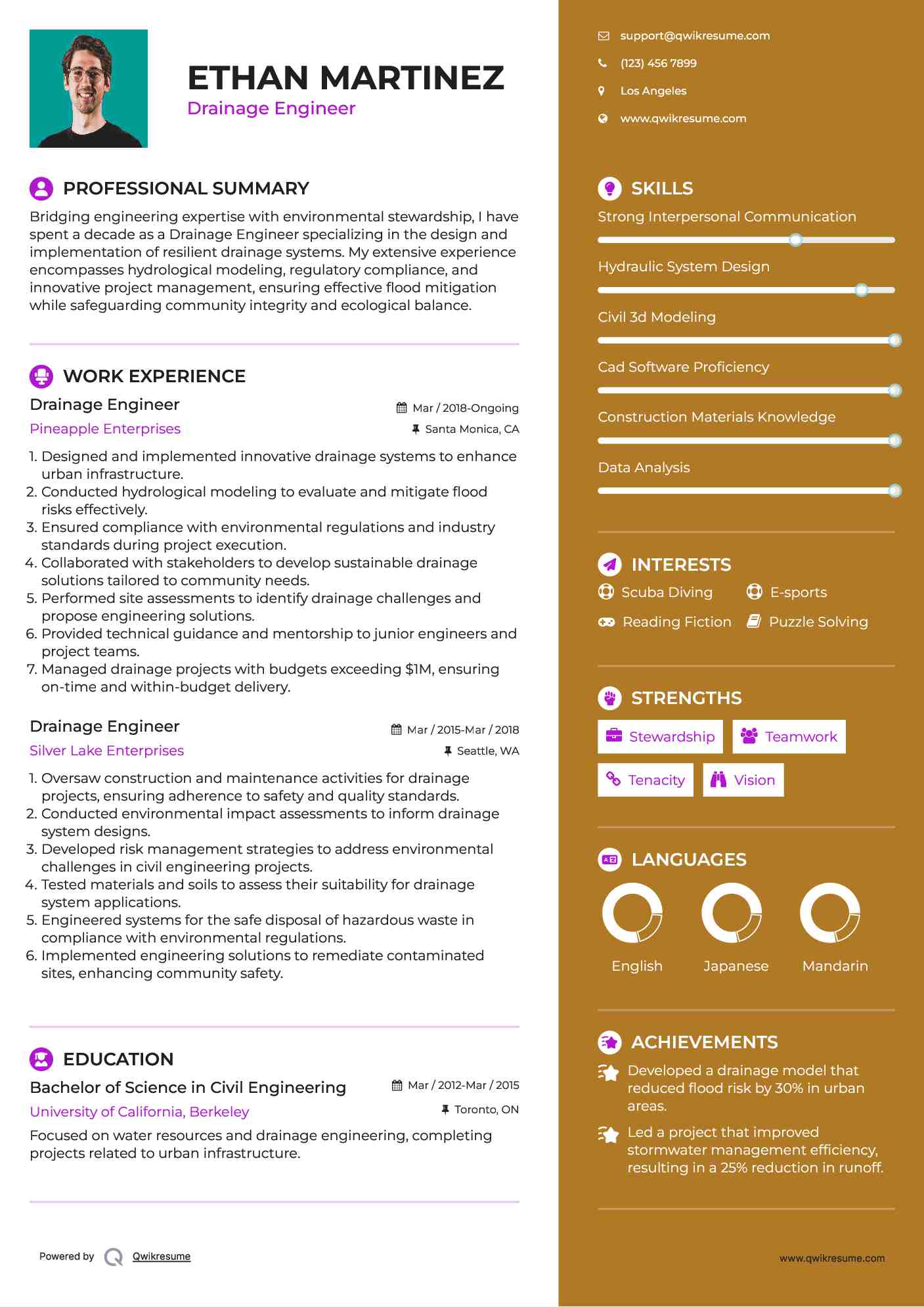 Drainage Engineer Resume Format