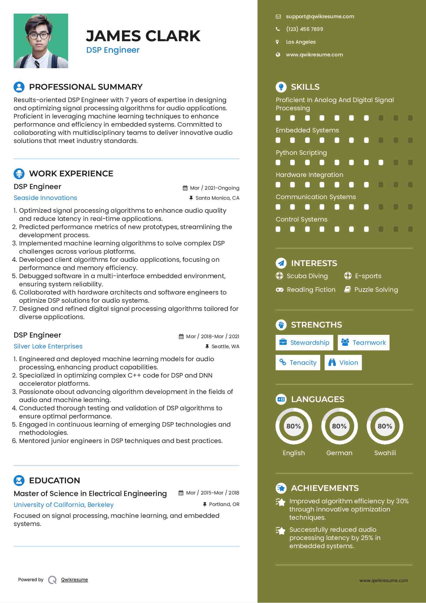 DSP Engineer Resume Format