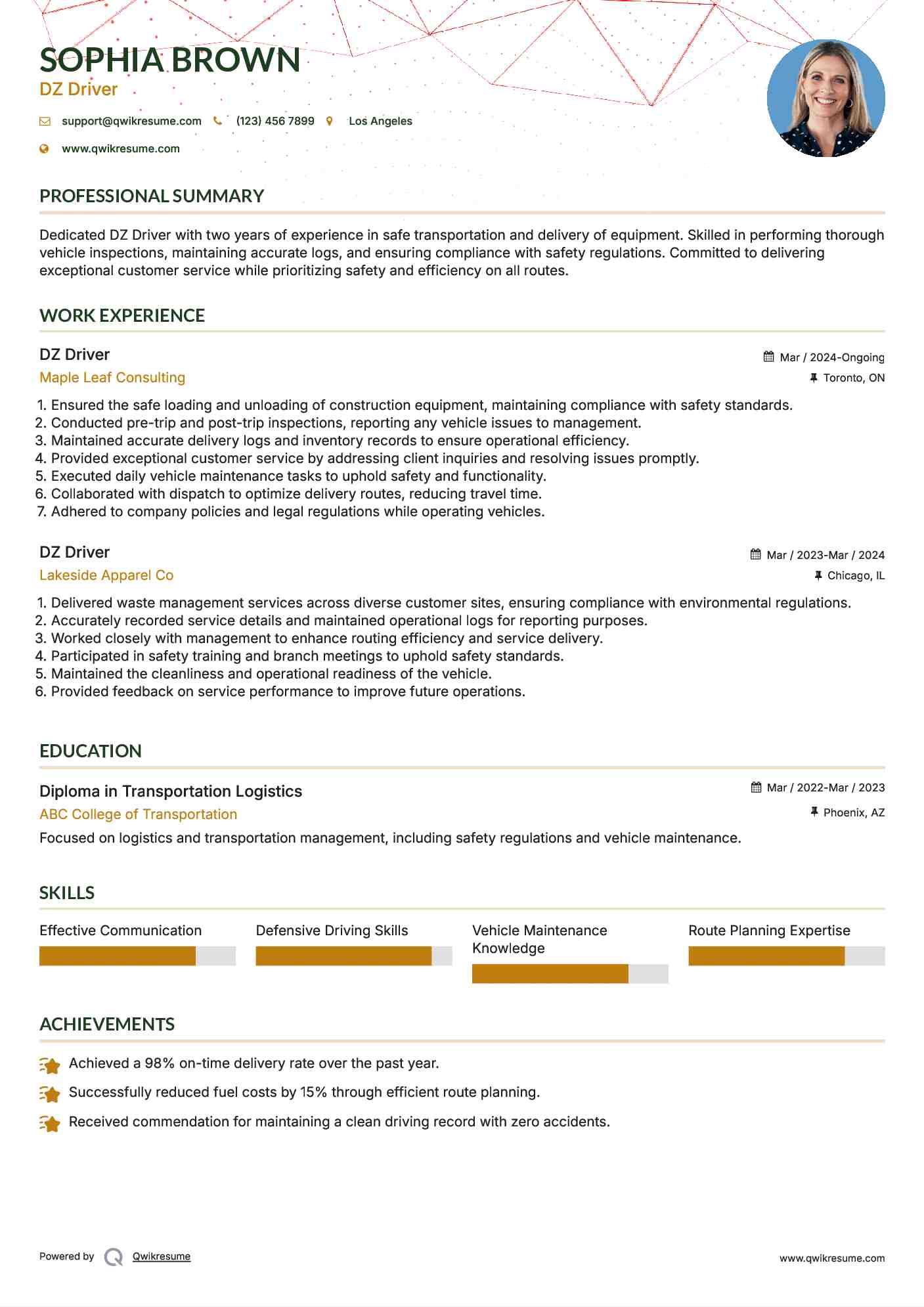 DZ Driver Resume Example