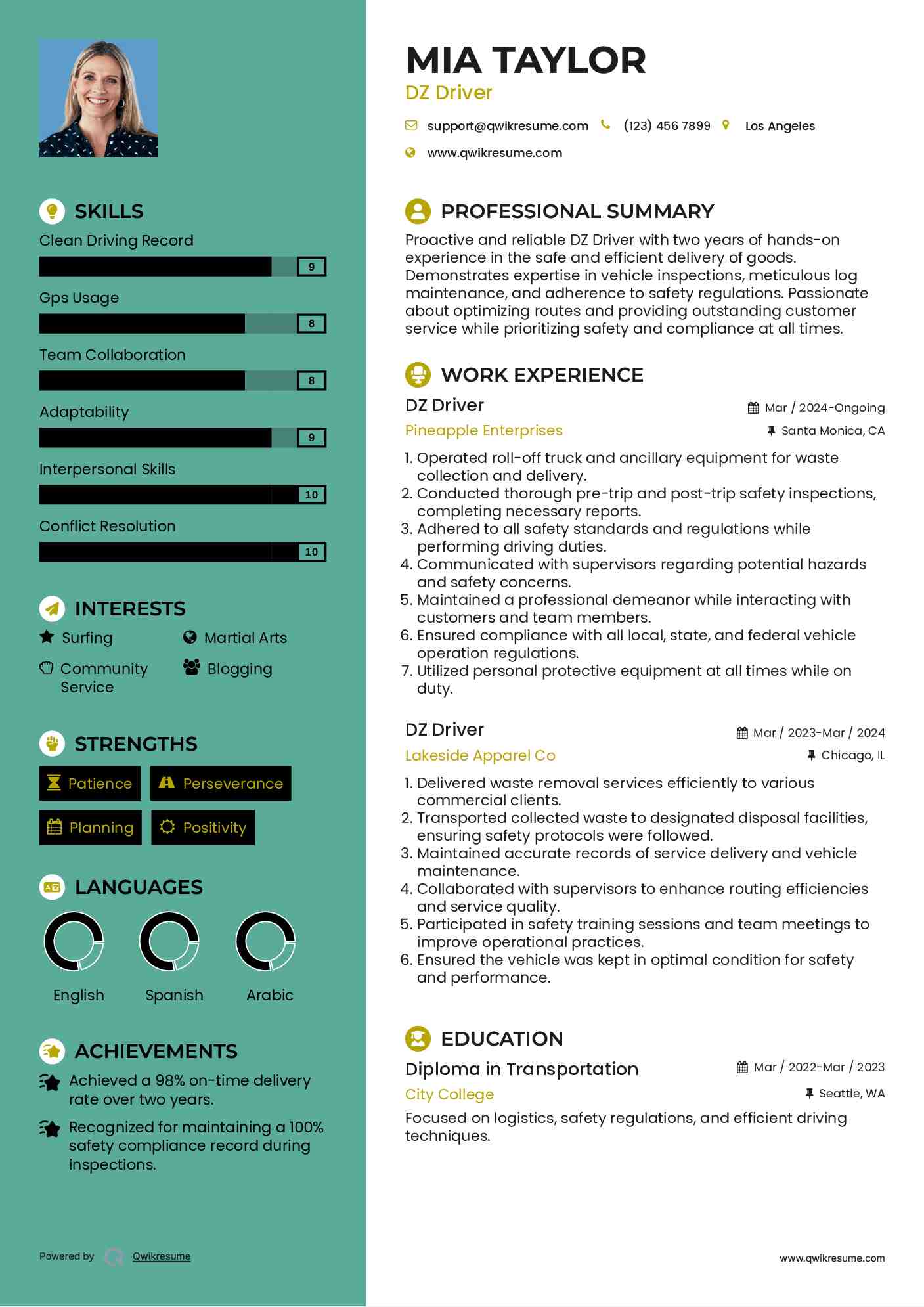 DZ Driver Resume Template