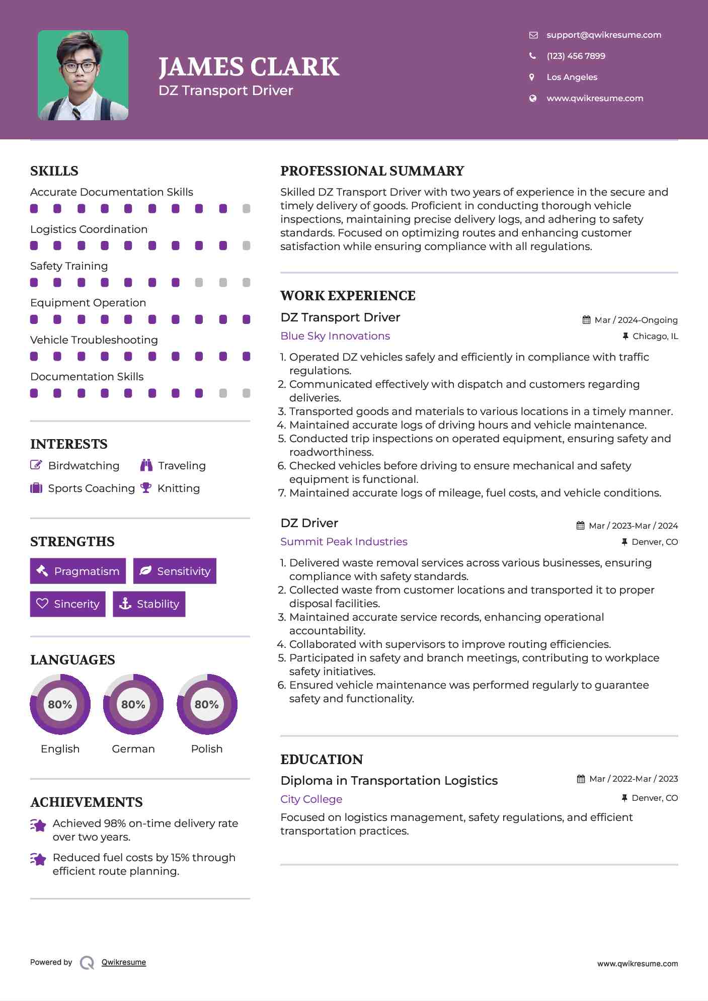 DZ Transport Driver Resume Example